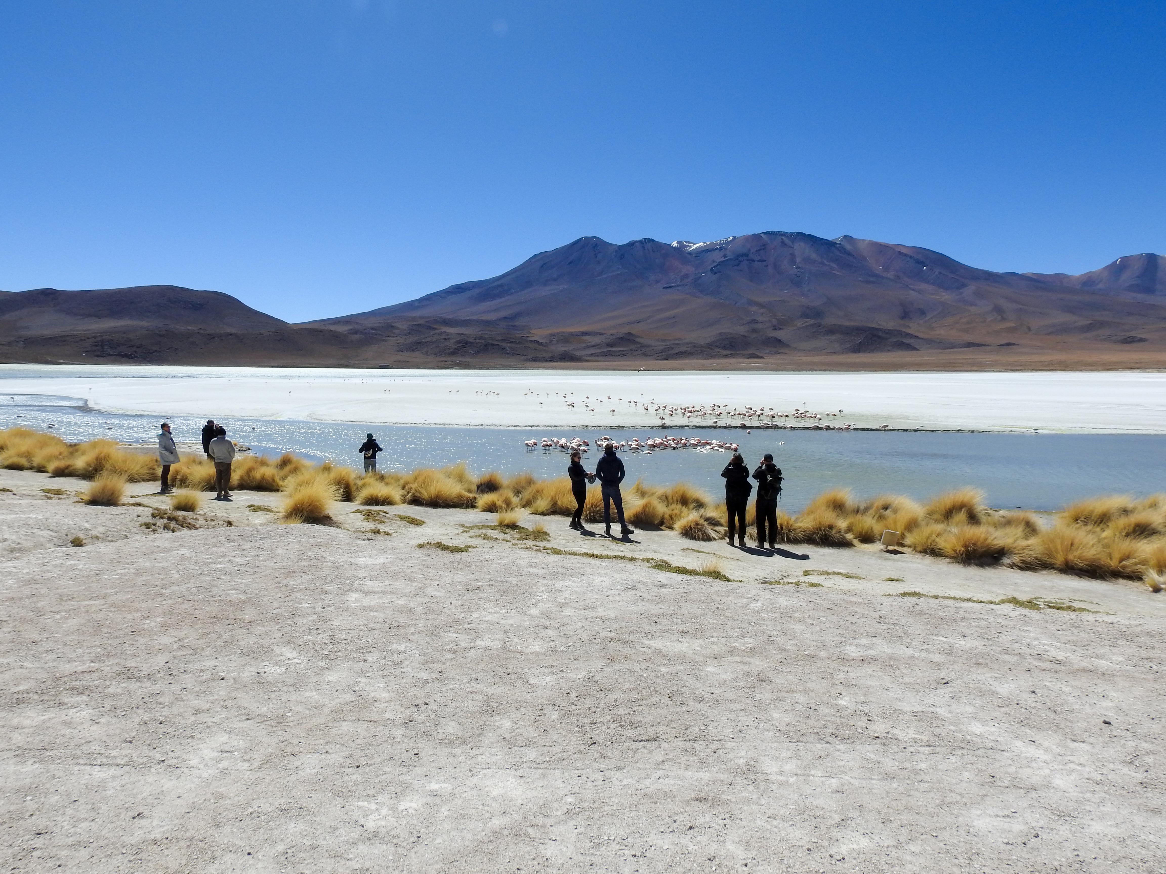 Expédition de 3 jours : Salar de Uyuni et lagunes