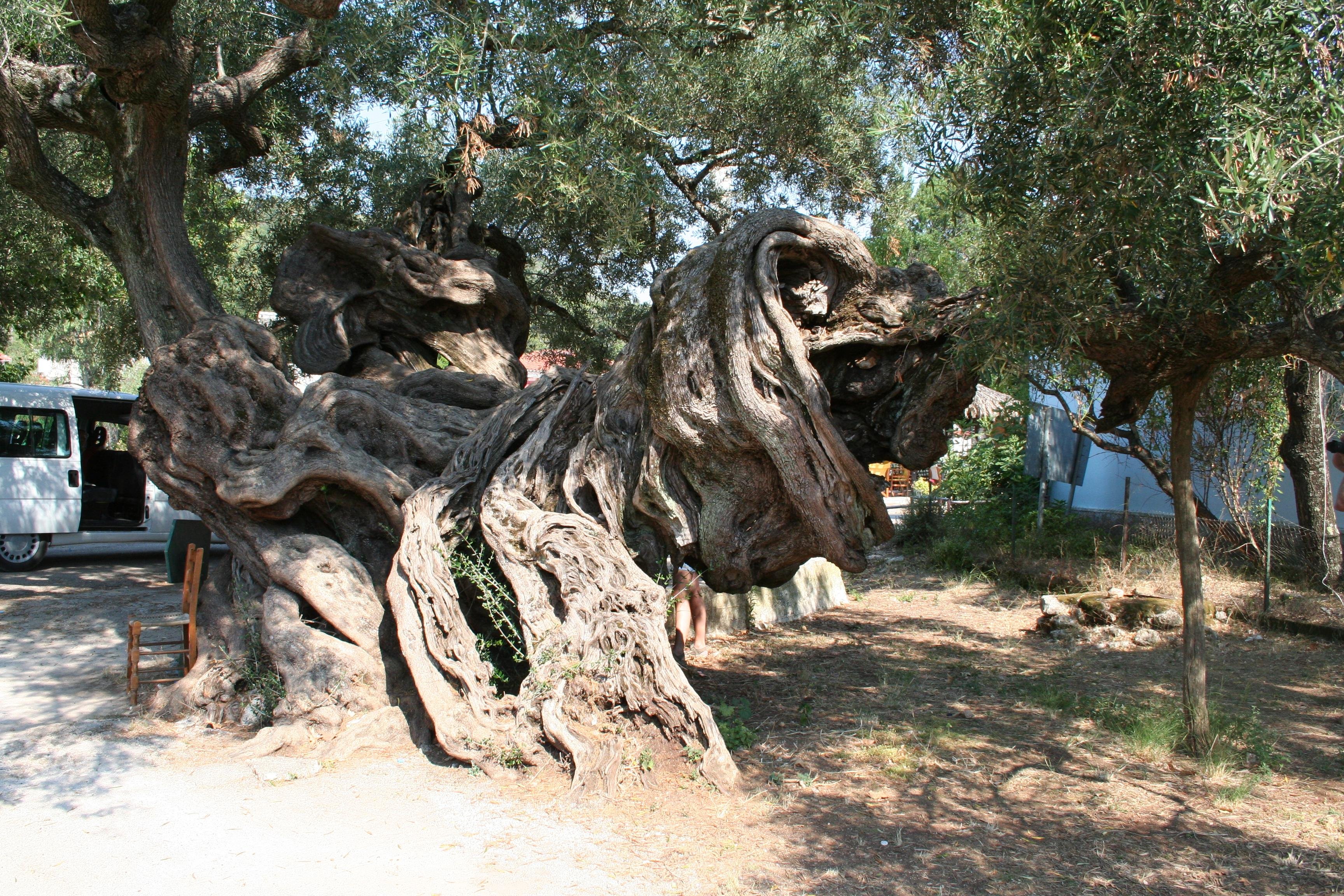 Zakynthos Land & Sea Coastal Exploration