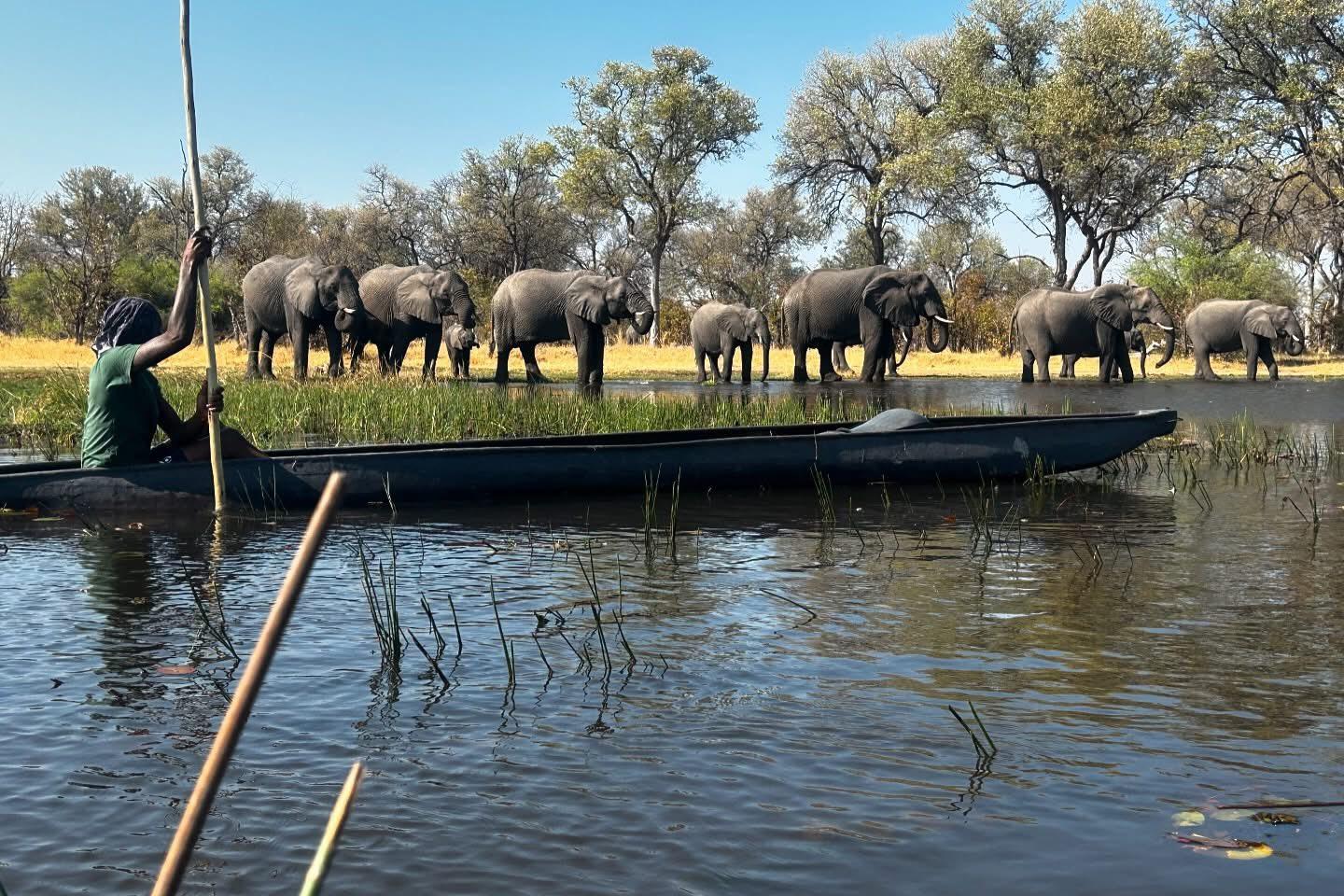 Okavango Delta Mokoro Canoe & Island Walk