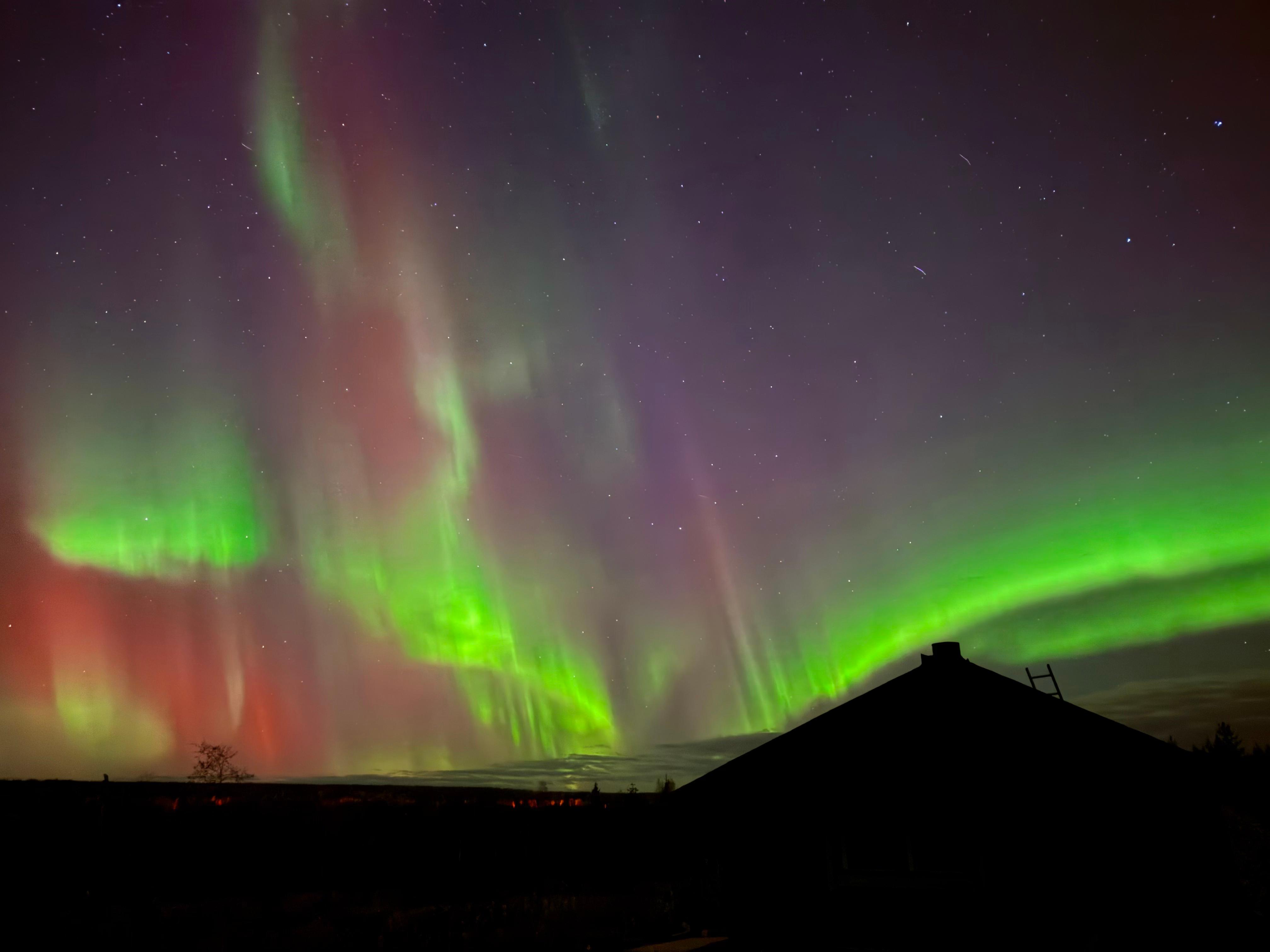 Rovaniemi Reindeer, Husky & Northern Lights BBQ Safari