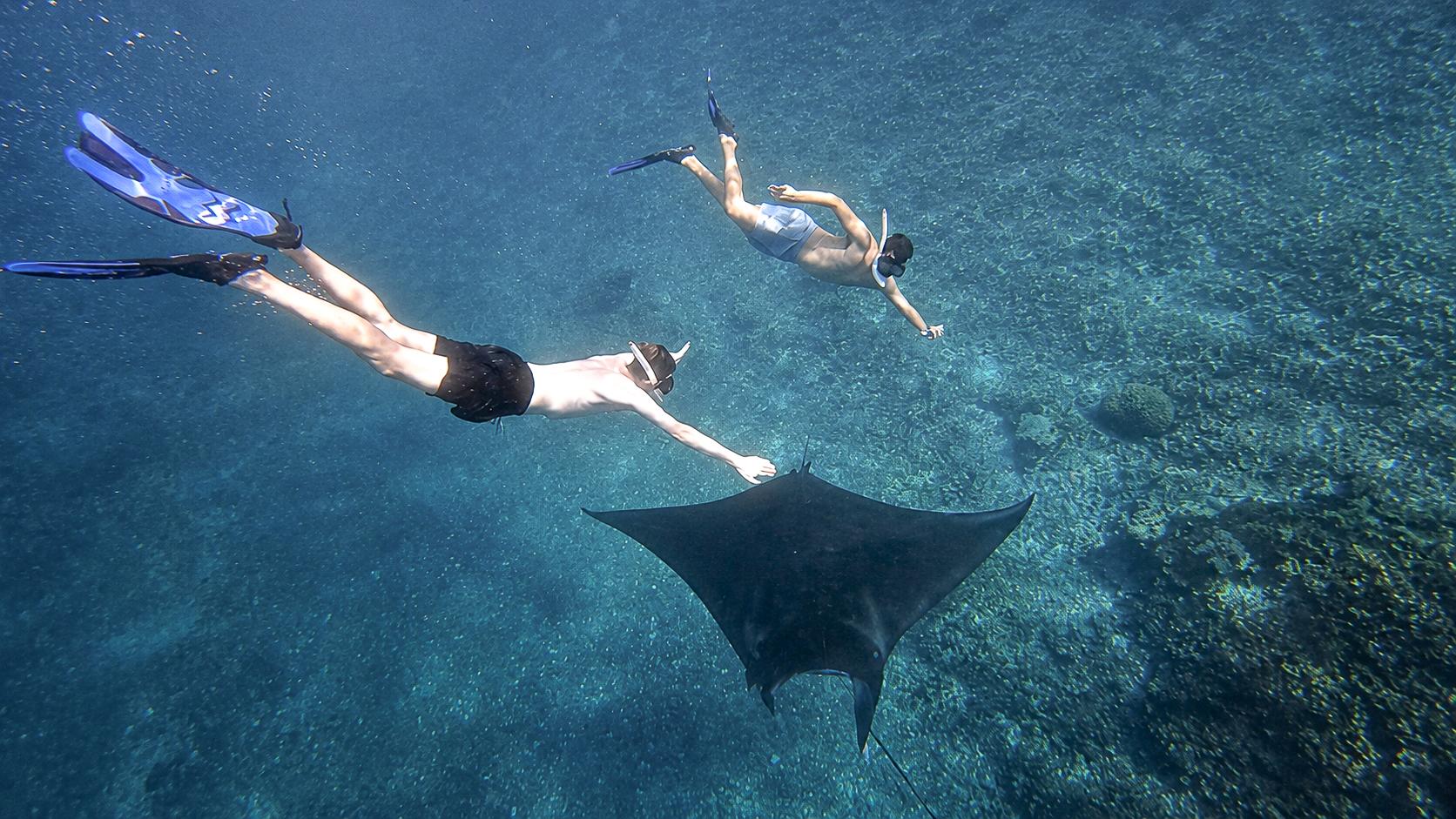 Komodo National Park 6-Stop Small Group Boat Tour