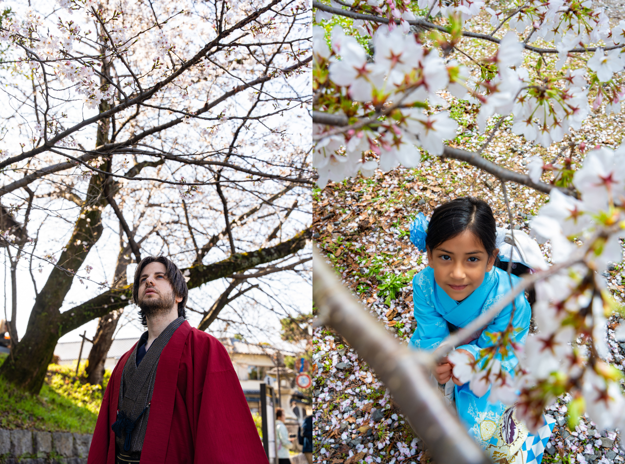 Kyoto: Vestimenta Tradicional com Kimono e Sessão de Fotos Privada