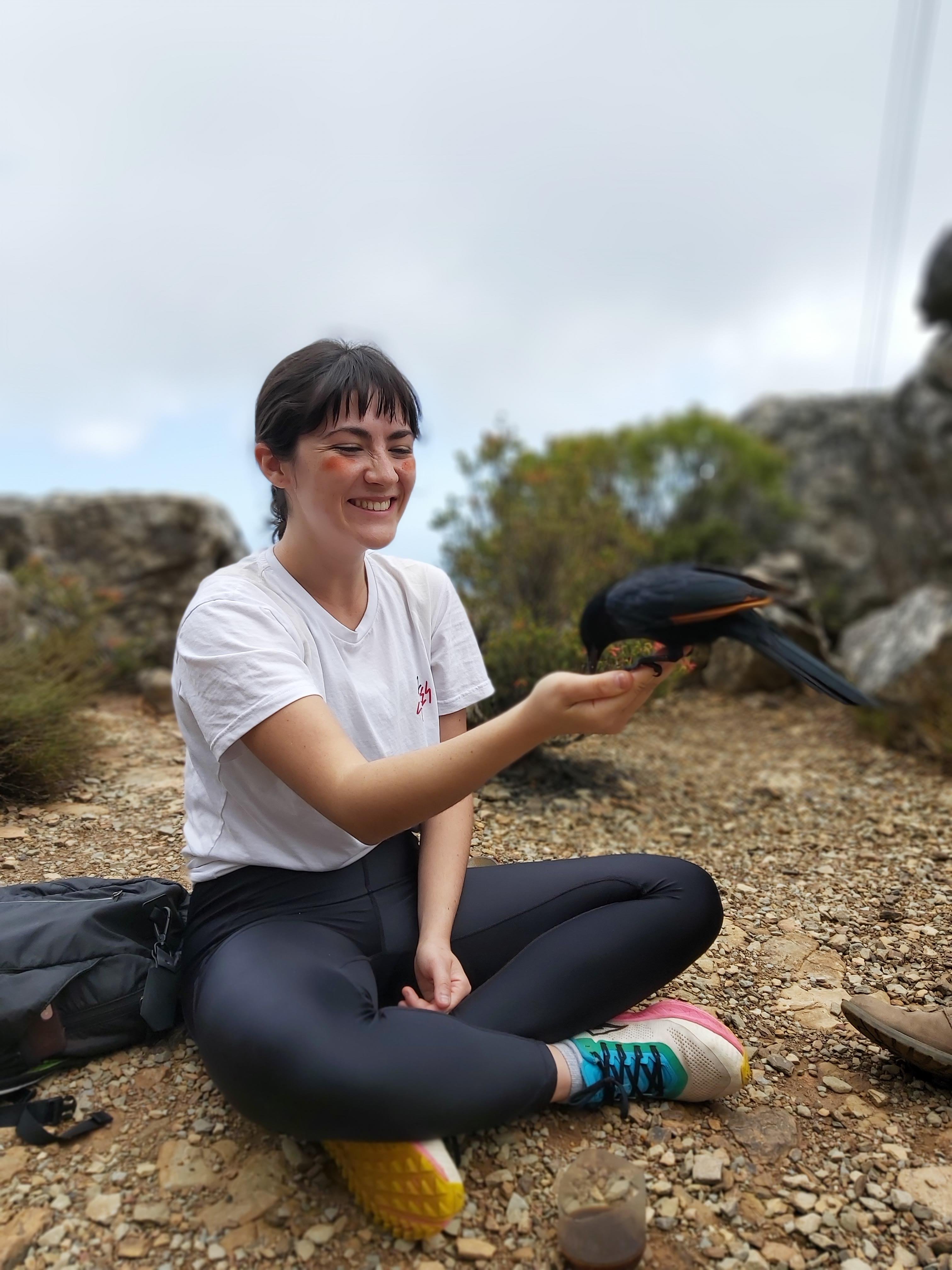 Table Mountain Guided Hike with Cable Car Descent