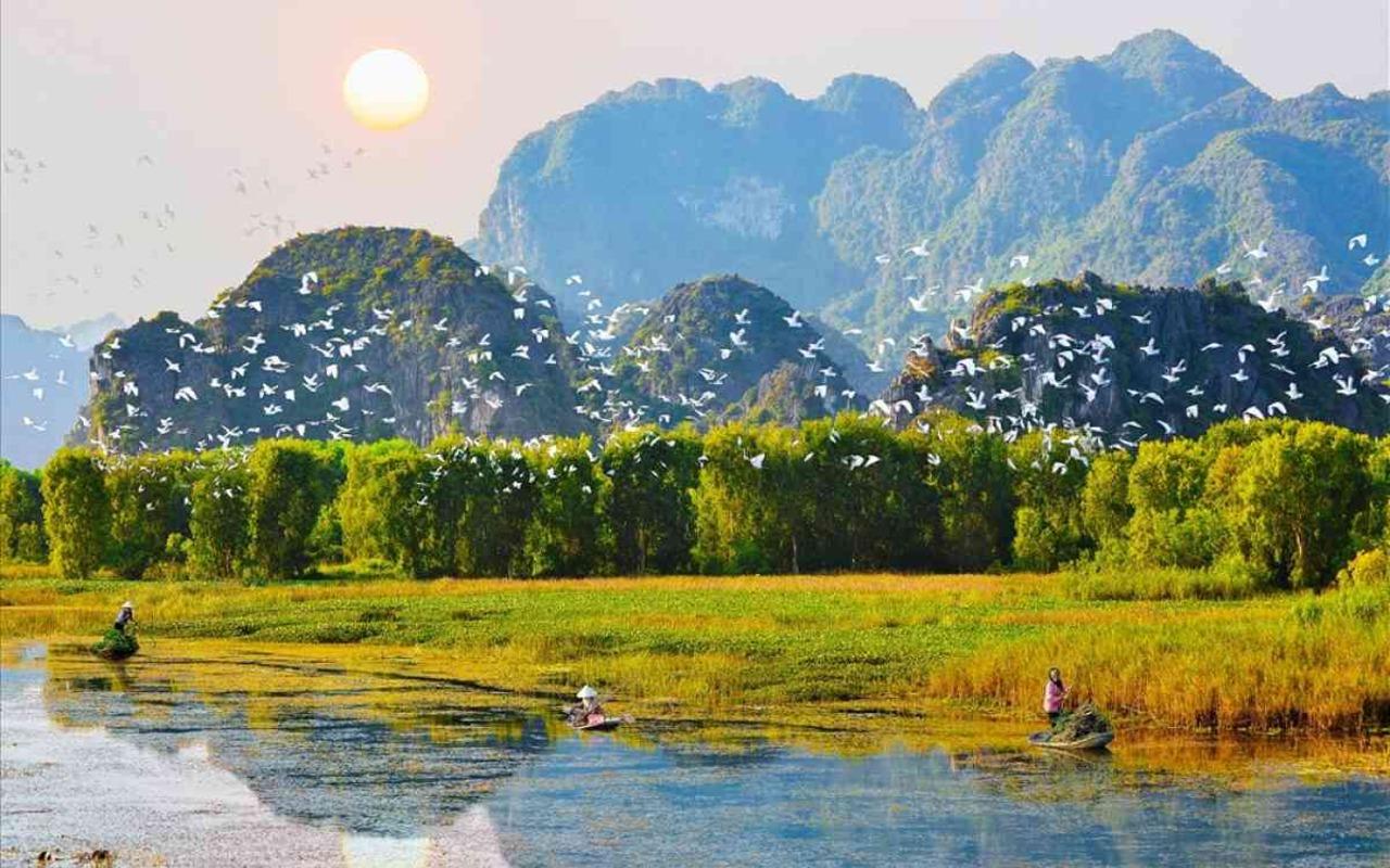 Ninh Binh Full-Day Private Tour: Tam Coc, Bich Dong & Thung Nham Bird Valley