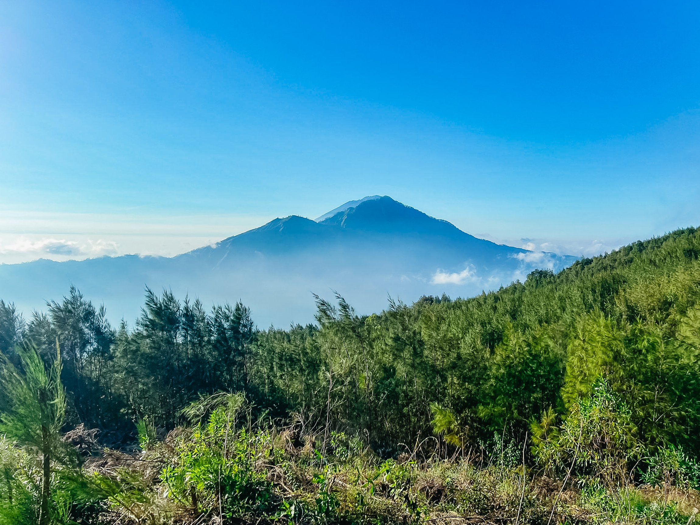 Mount Batur Sunrise Trek with Breakfast & Coffee Plantation Visit