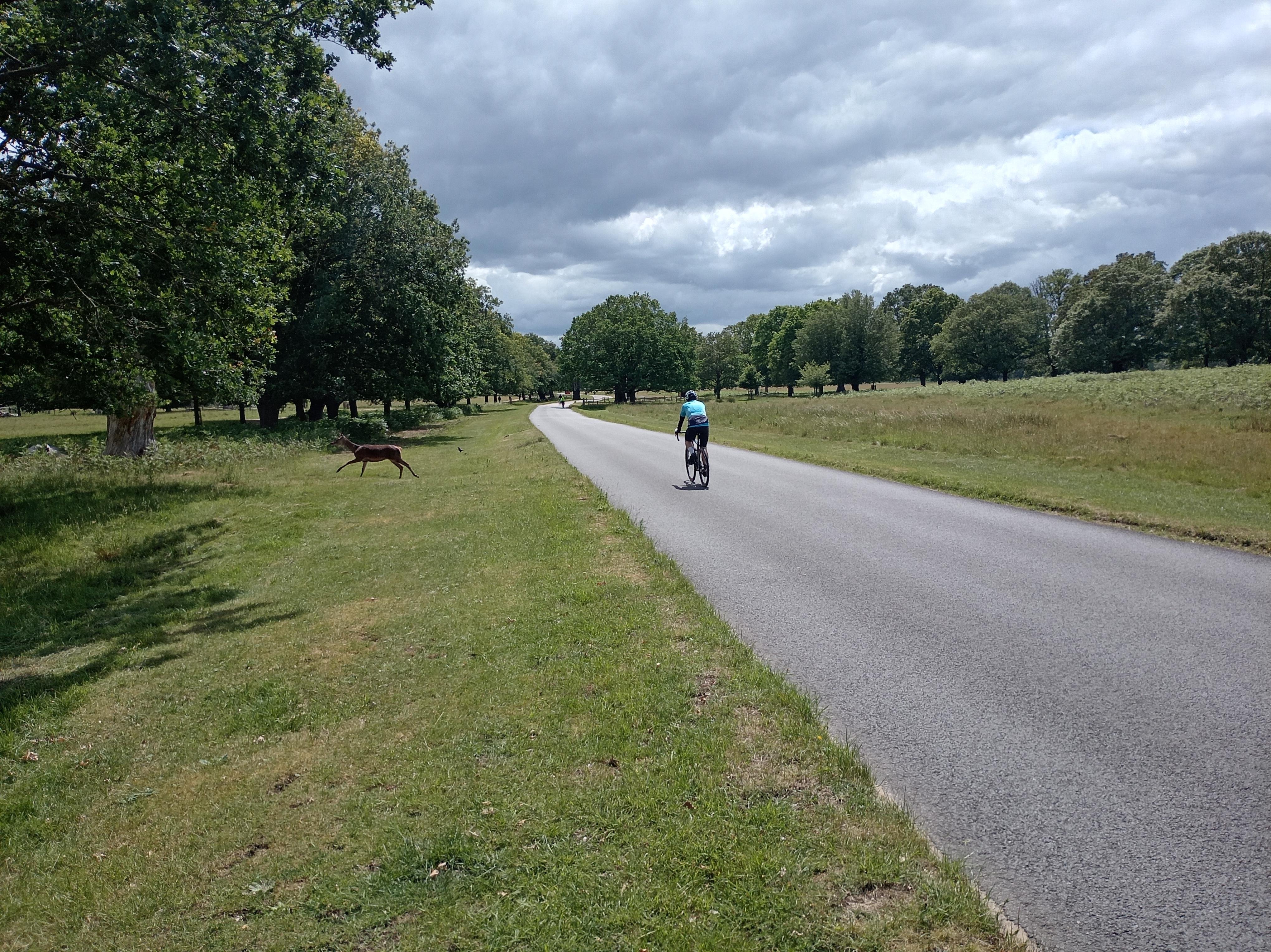 Battersea to Richmond Park E-Bike Adventure