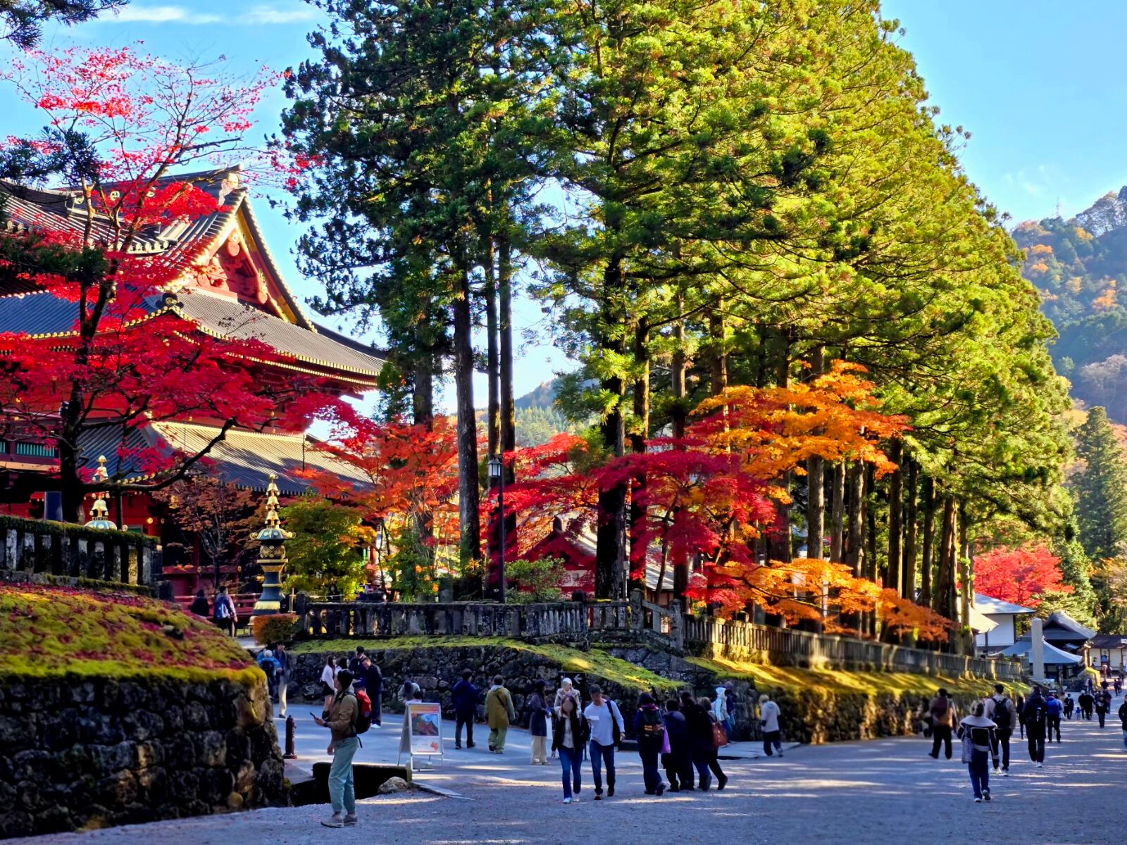 Nikko World Heritage Day Trip from Tokyo