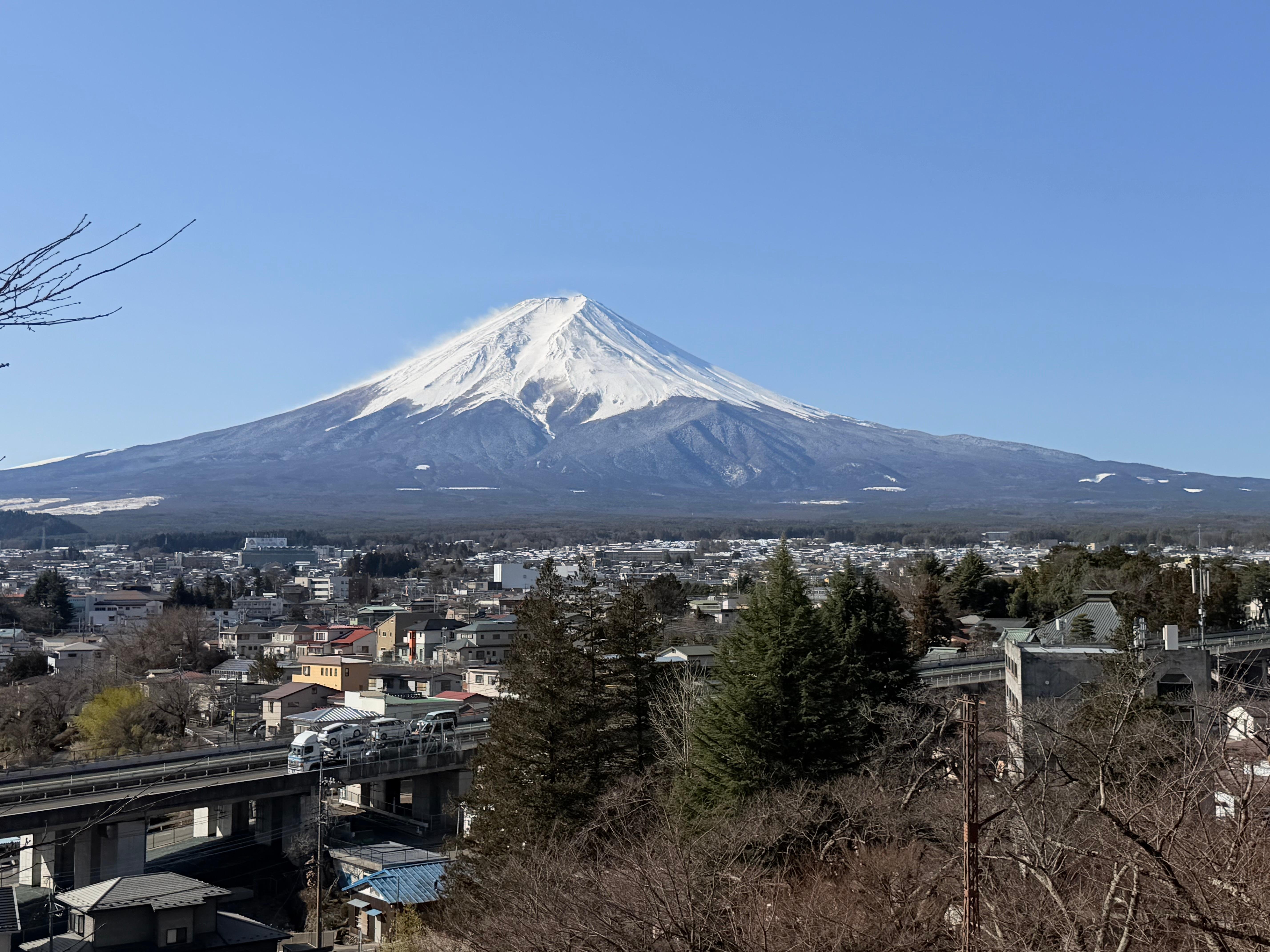 Tokyo to Mt. Fuji & Hakone: Private Full-Day Tour with English Driver