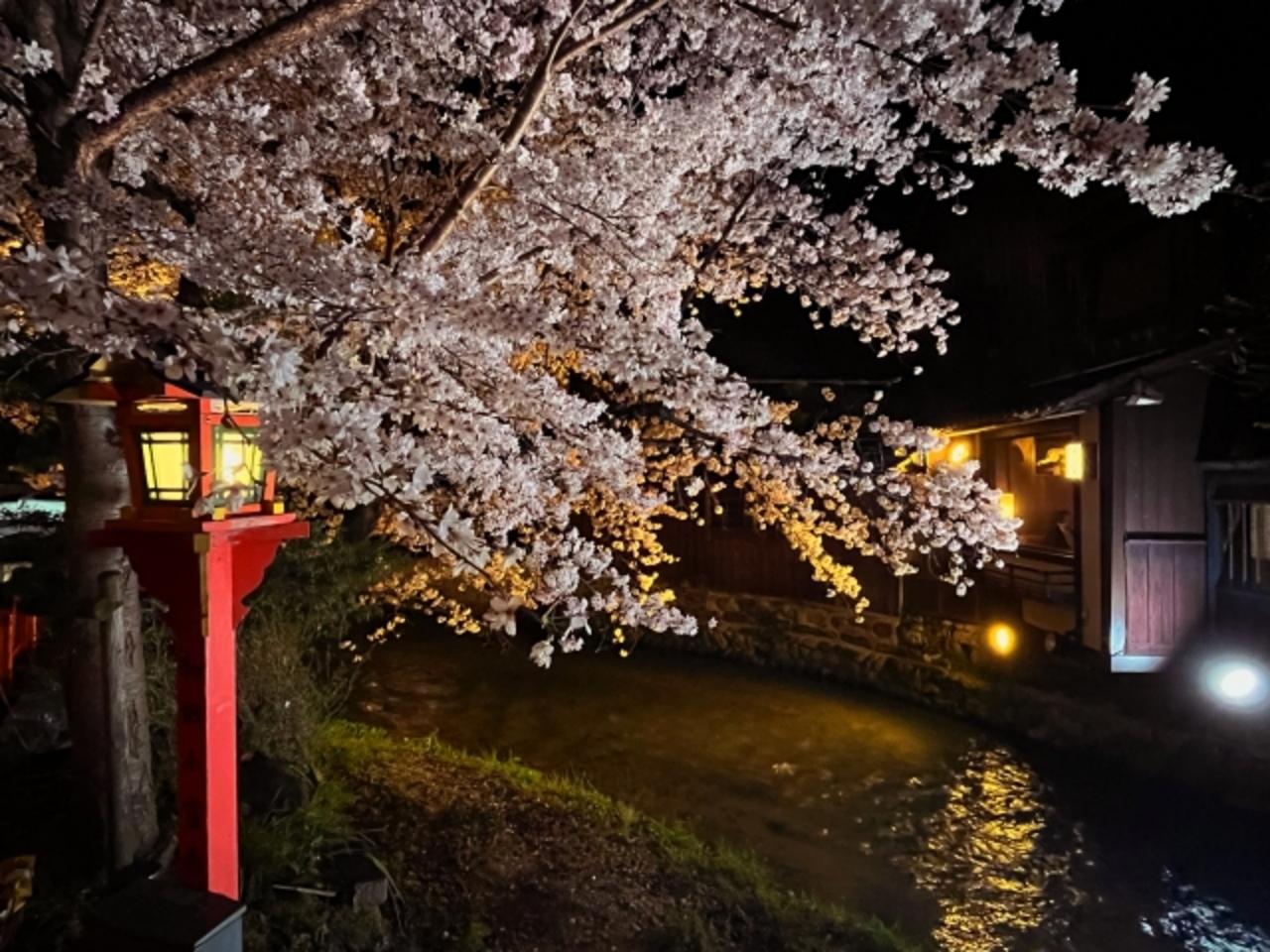 Kyoto: Gion Geisha District & Hidden Traditions