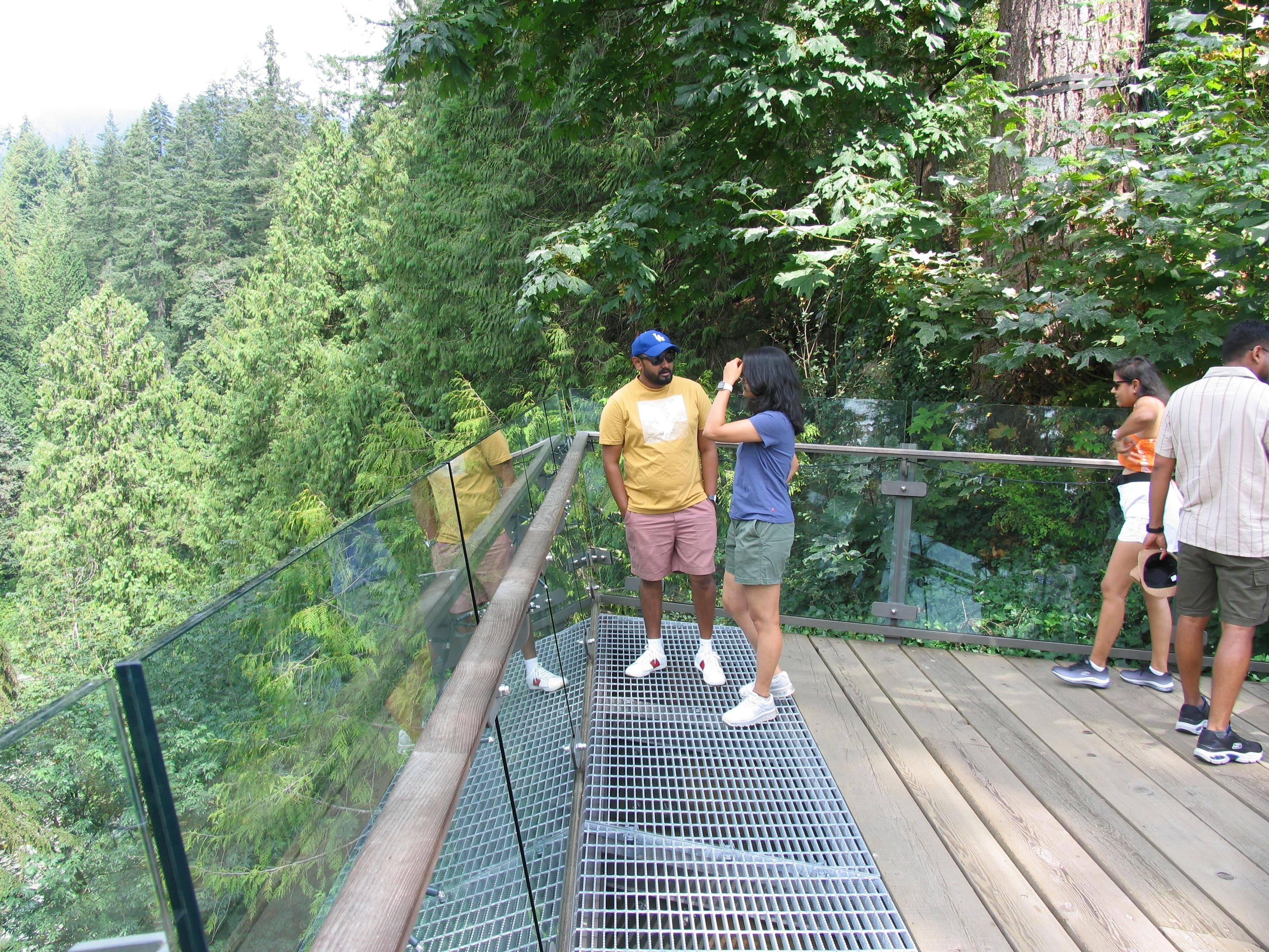 Capilano Suspension Bridge & Stanley Park Small Group Tour