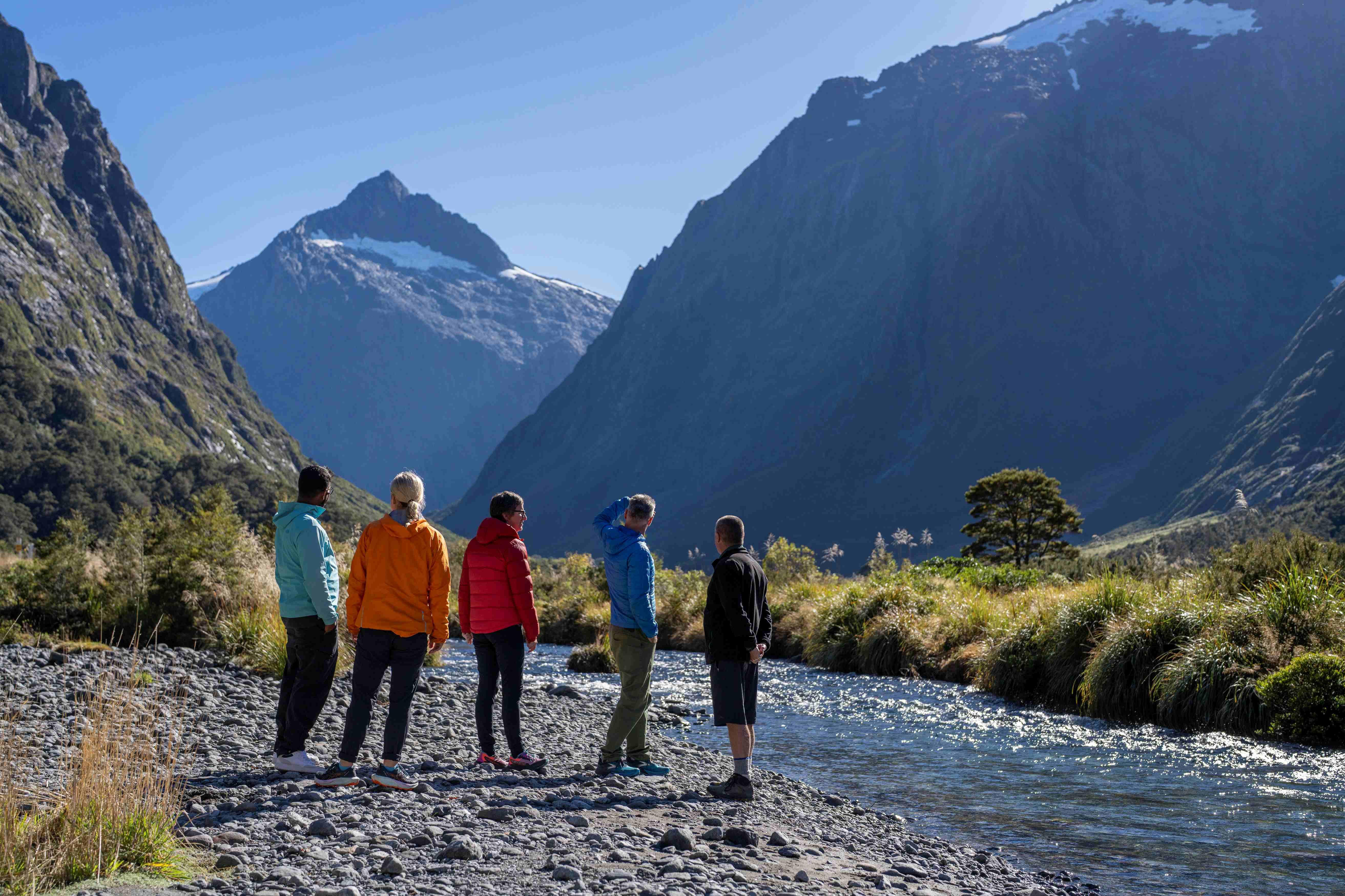 Milford Sound tour photo — image 2