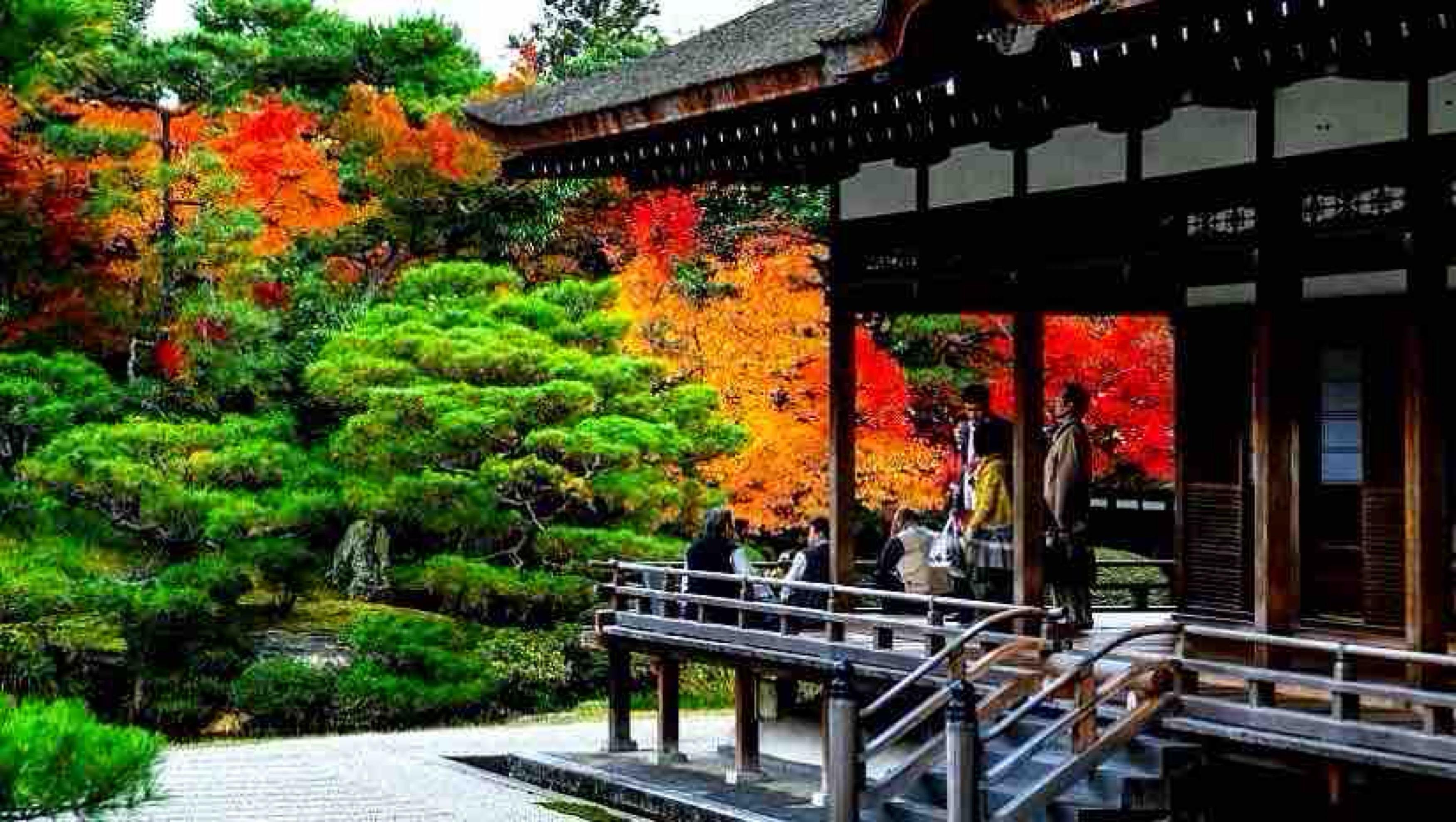 Private Kyoto & Nara Custom Day Tour with Hotel Pickup