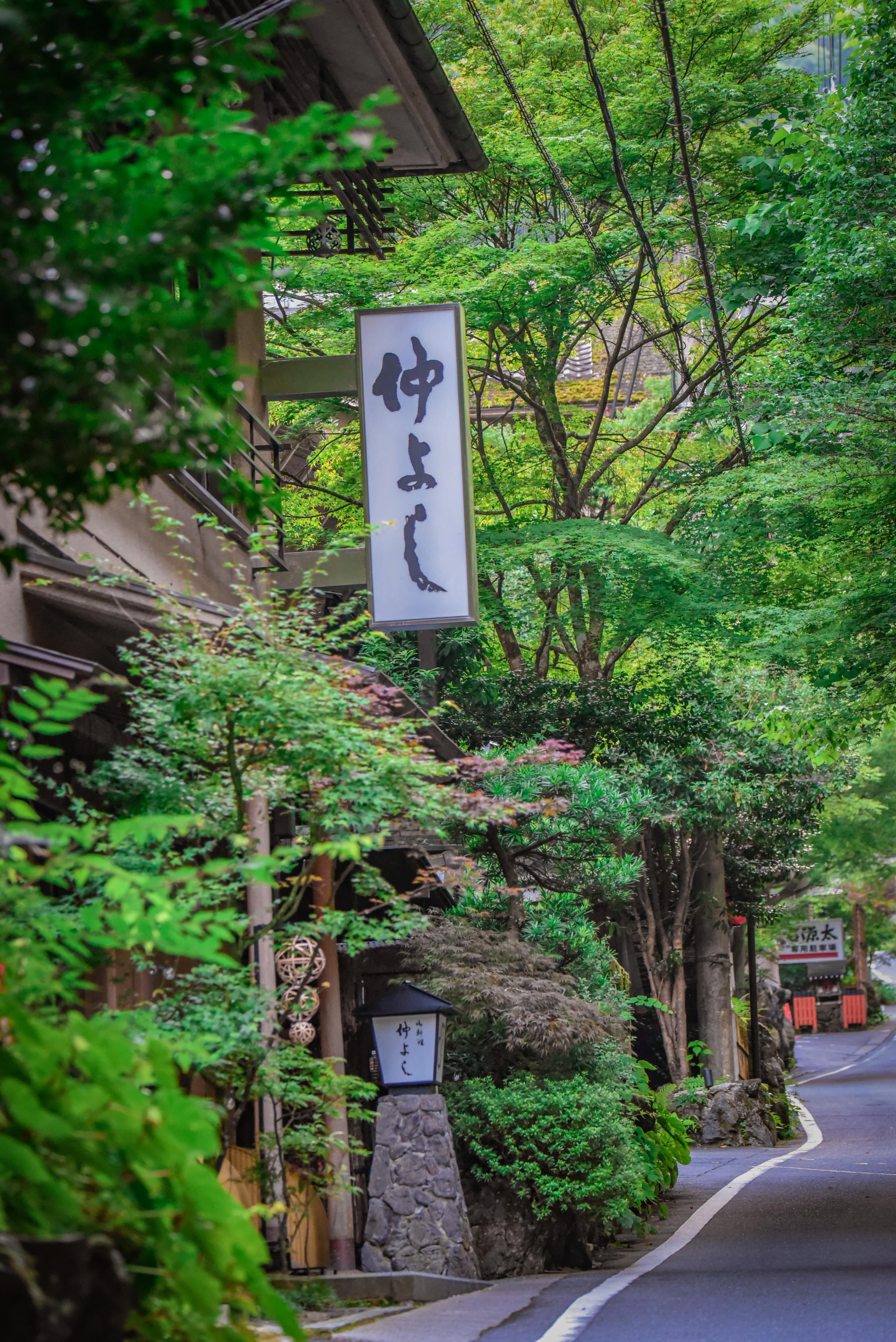 Kyoto Private Day Tour with Guide & Vehicle