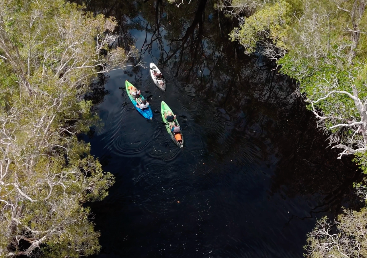 Lake Weyba Kayak Adventure with Stingray Sanctuary