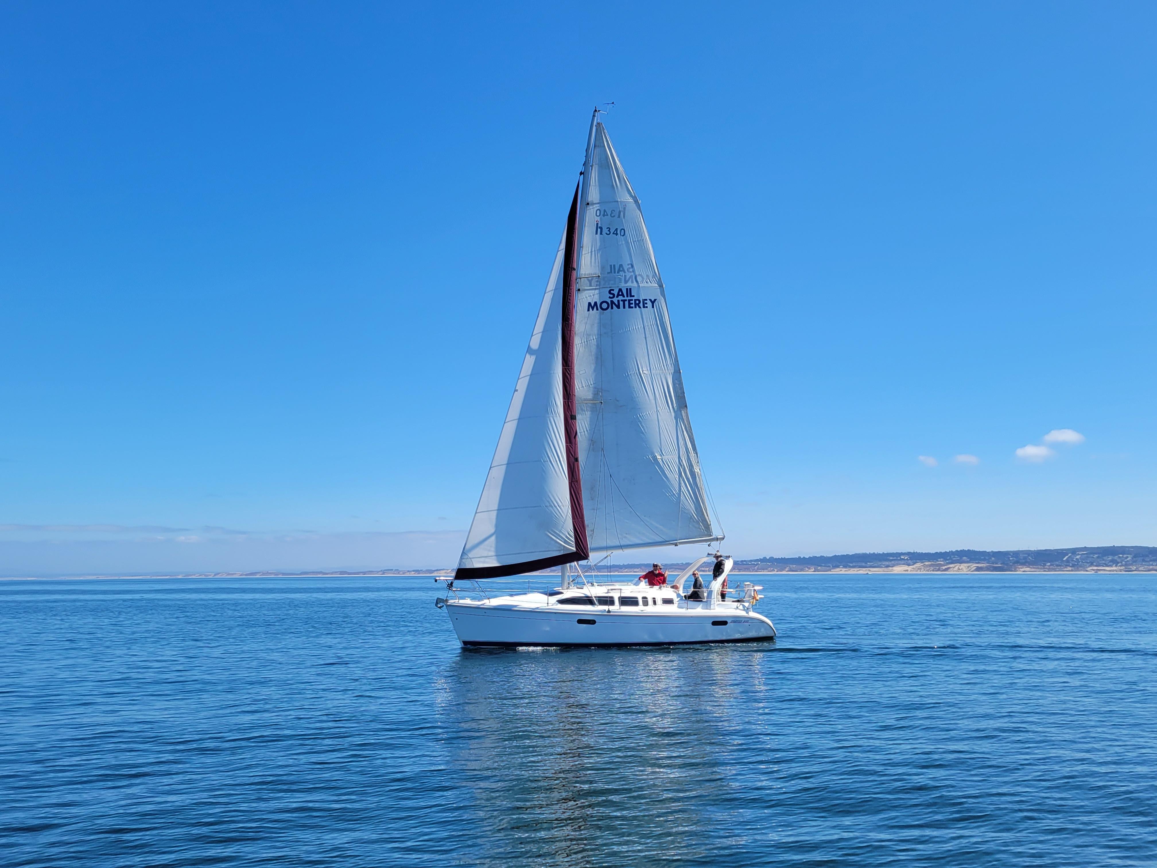 Monterey: Private Whale Watching and Sailing Tour for 6