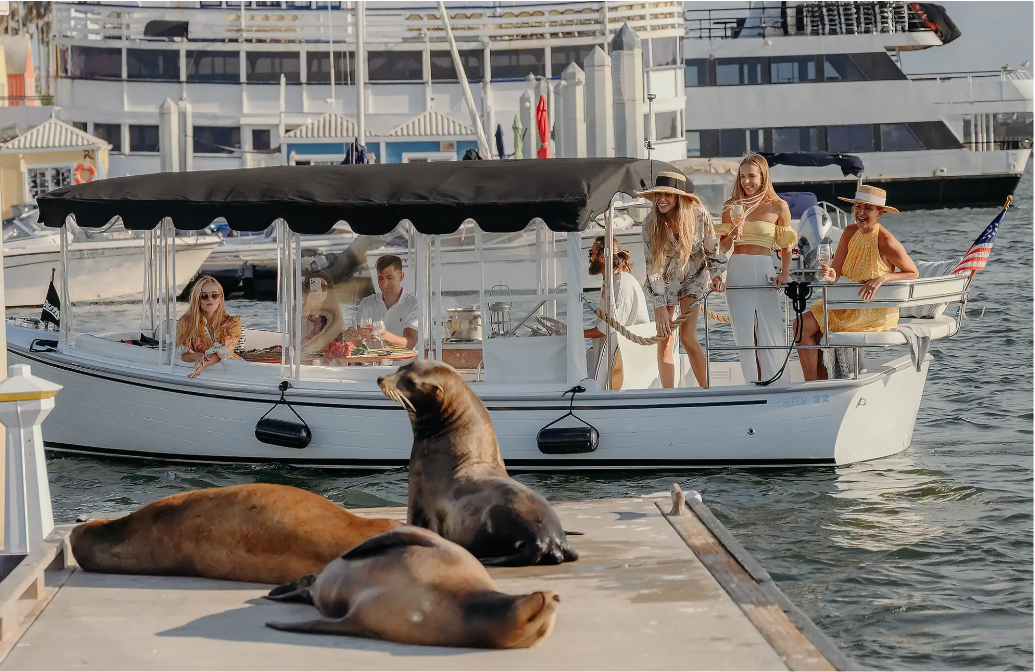 Marina del Rey Sea Lion Watching Boat Tour
