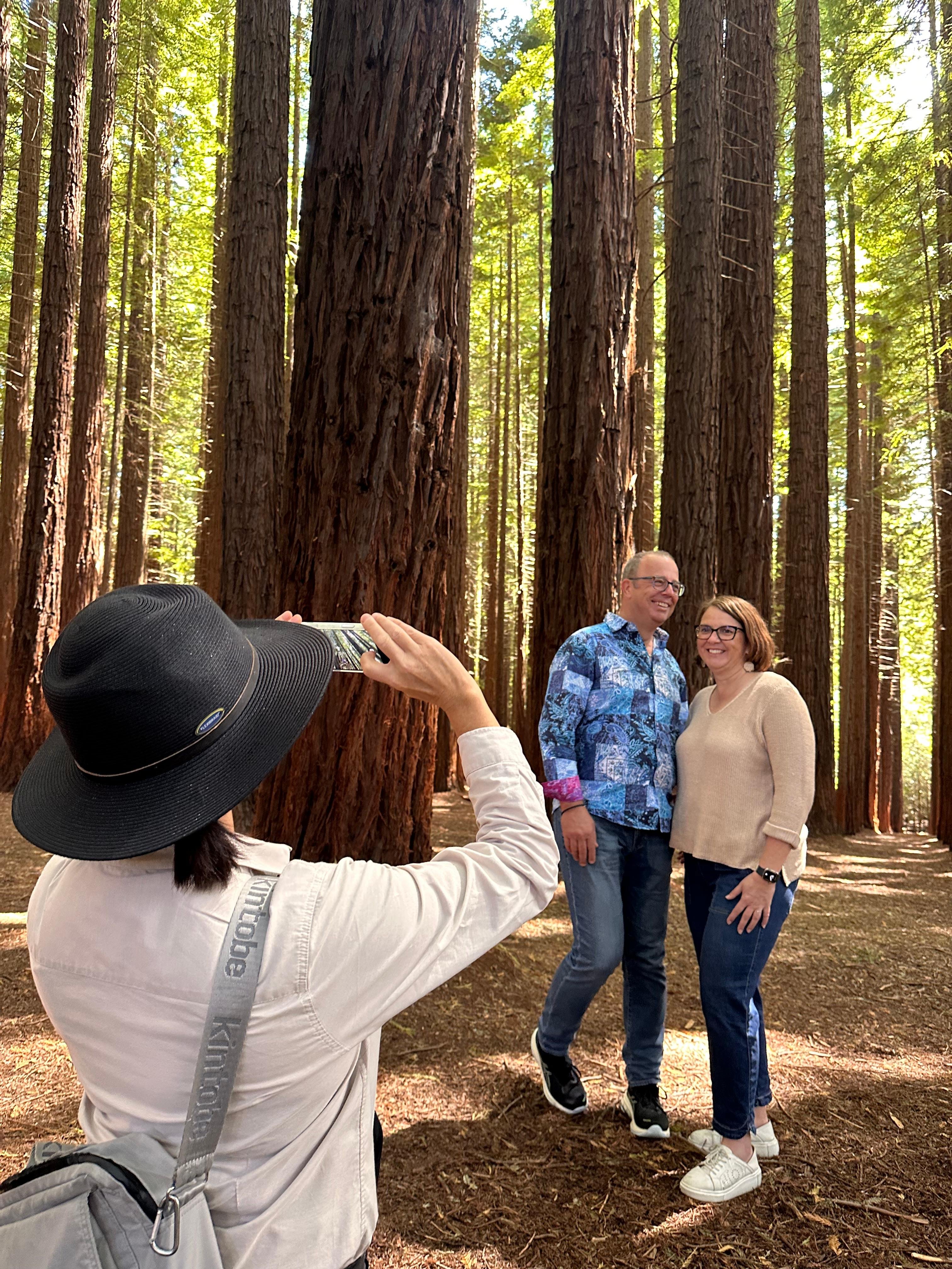 Melbourne: Yarra Valley Redwoods, Wildlife or Wine Day Tour
