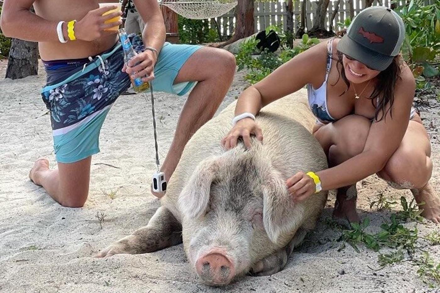 Nassau Island Adventure with Swimming Pigs & Turtles