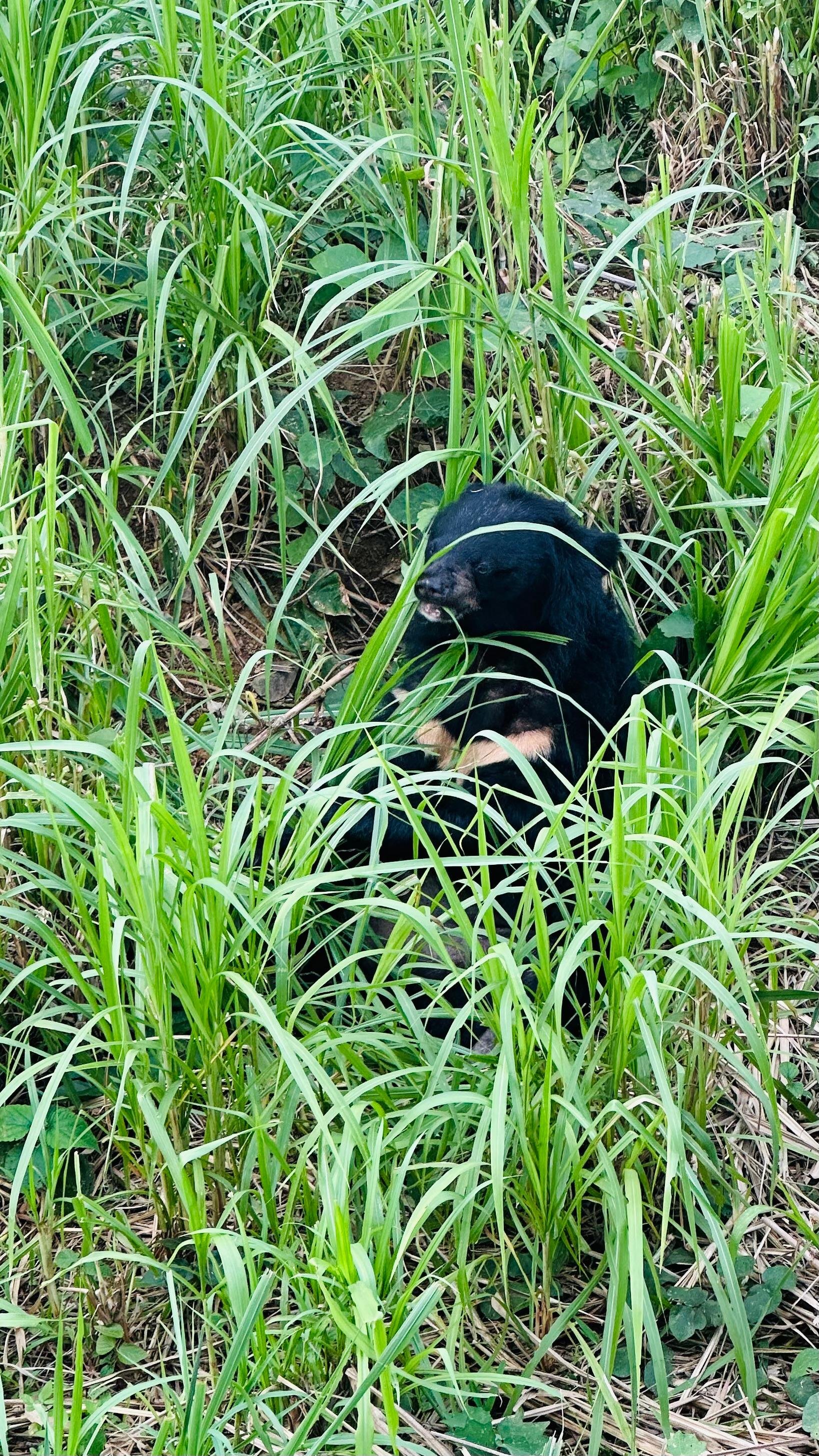 Cuc Phuong National Park Day Trek & Bear Sanctuary from Ninh Binh