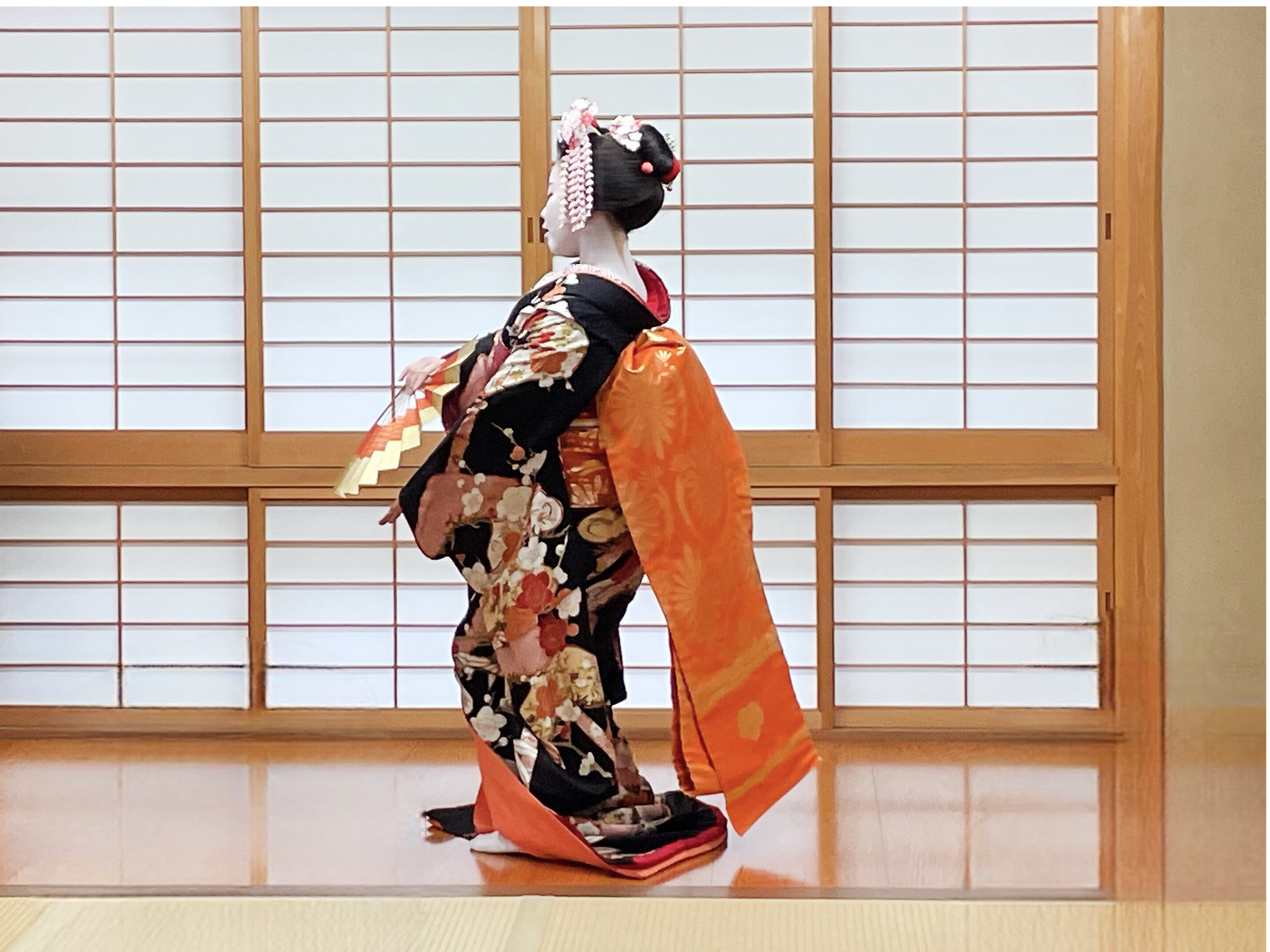 Kyoto: Meet the Geisha Maiko with Gion Walking Tour - 2026 (Verified Reviews)