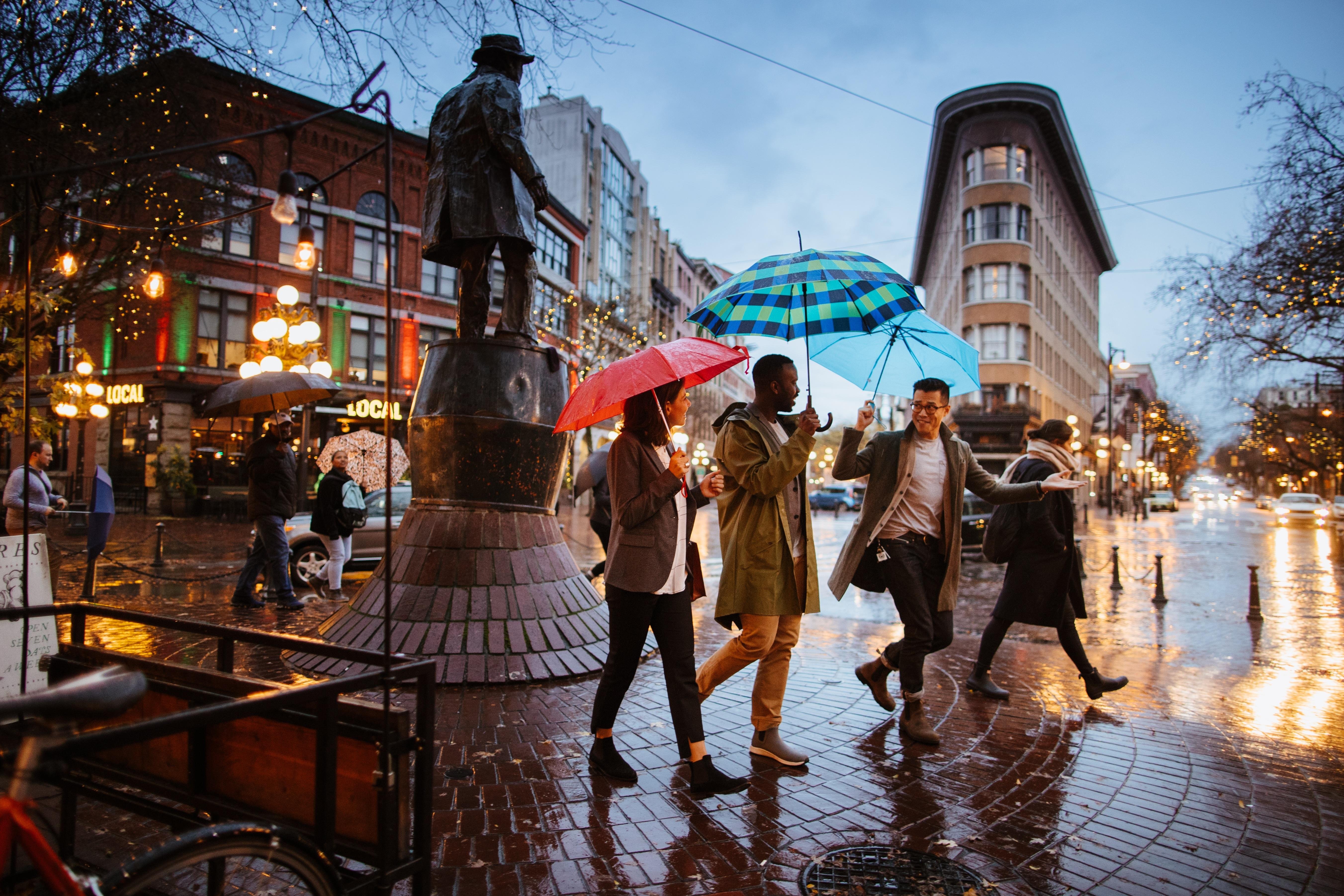 Vancouver Guided City Tour with Capilano Suspension Bridge & Stanley Park