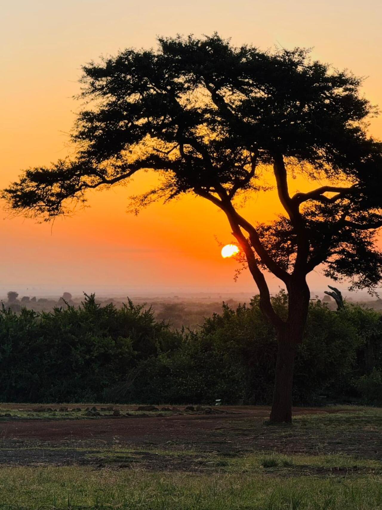 Nairobi National Park 5-Hour 4x4 Wildlife Safari