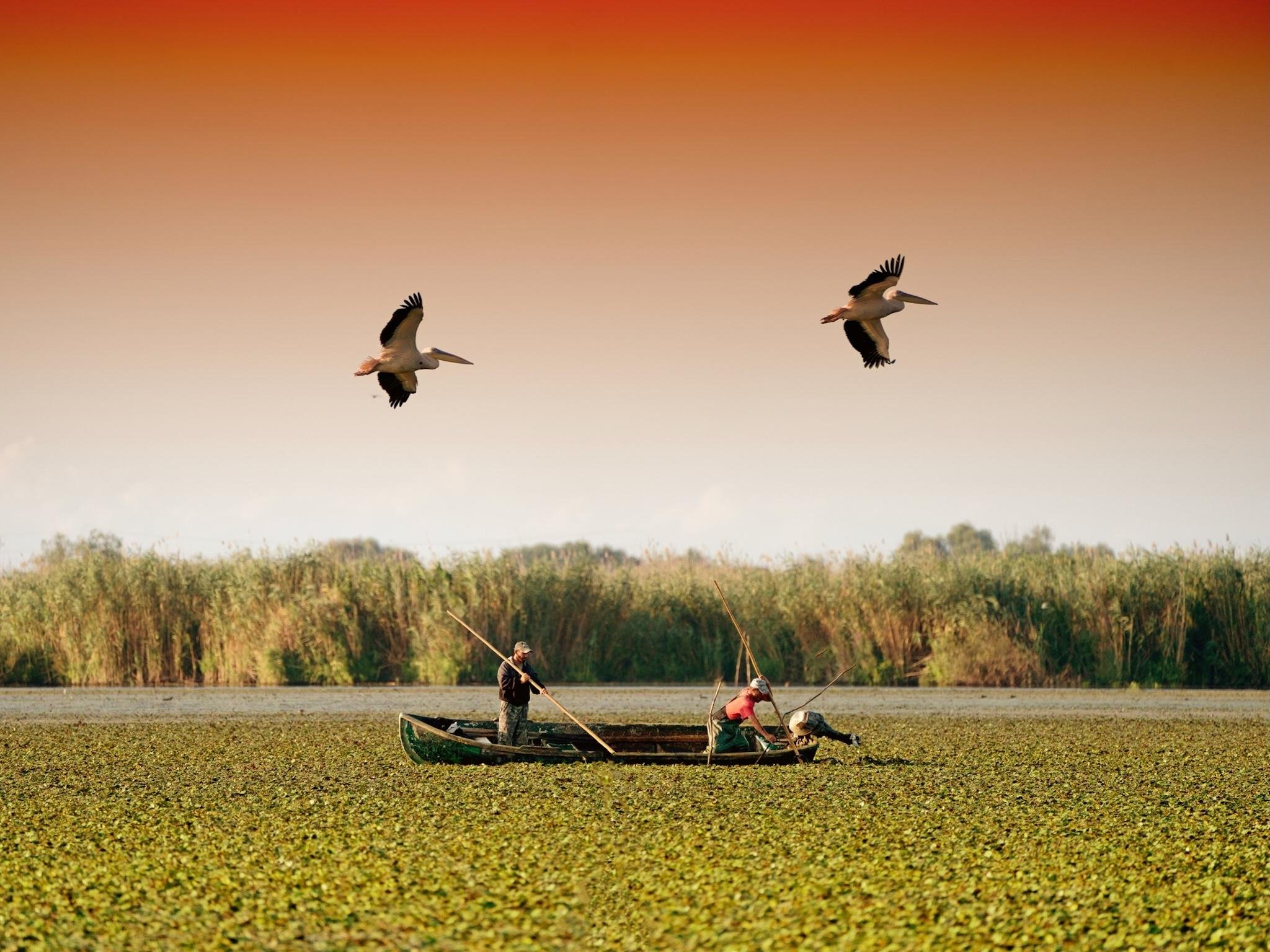 Bucharest to Danube Delta: Full-Day Nature Escape