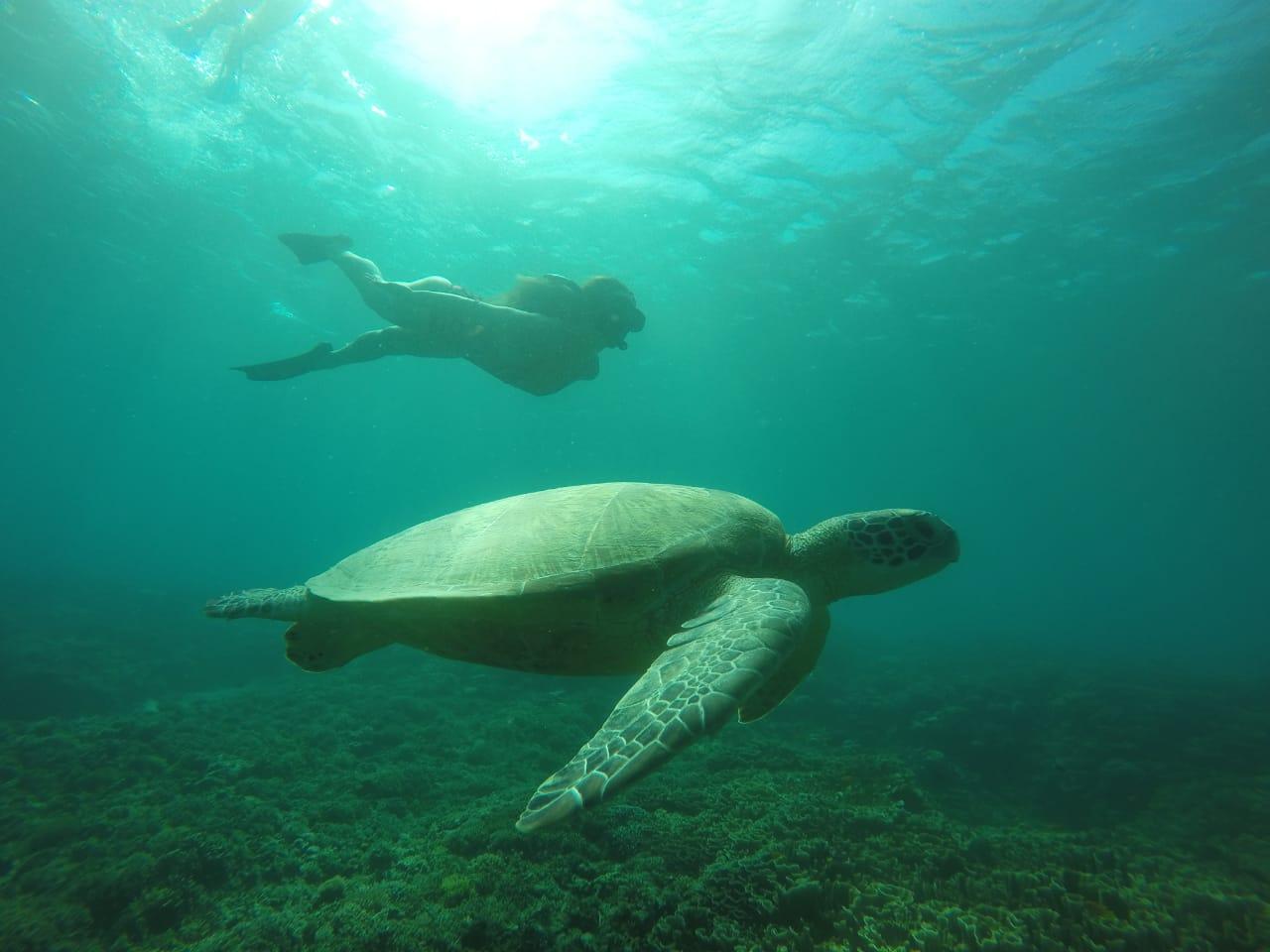 Lombok to Labuan Bajo: 4-Day Sea Nomad Boat Adventure