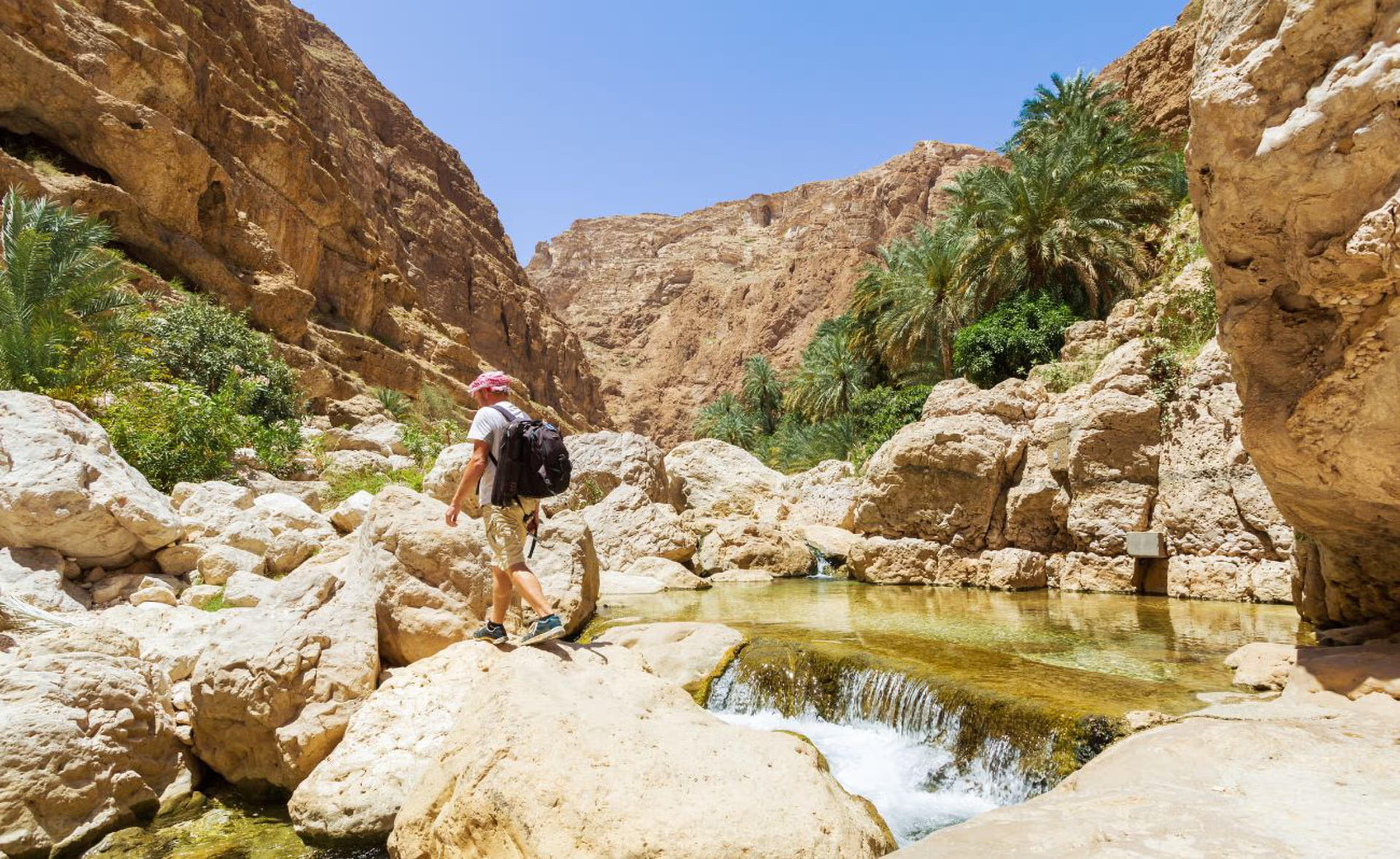 Wadi Shab Canyon & Sur Coastal Discovery
