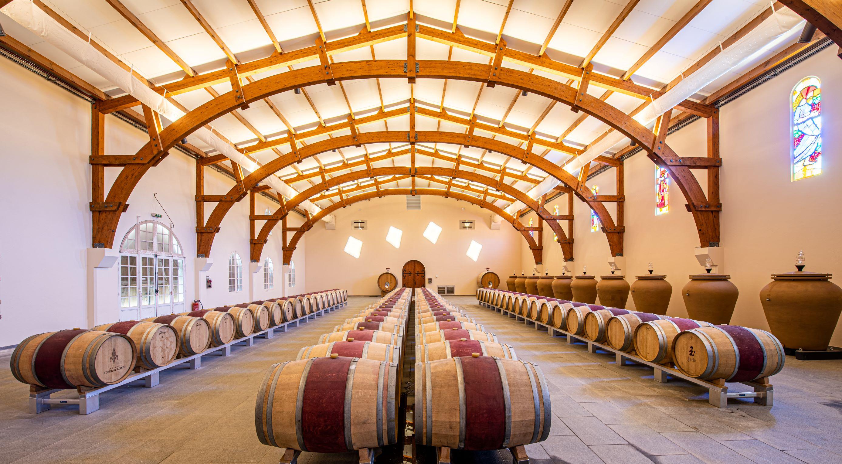 Organic Vineyard Experience with Wine, Cheese & Olive Oil
