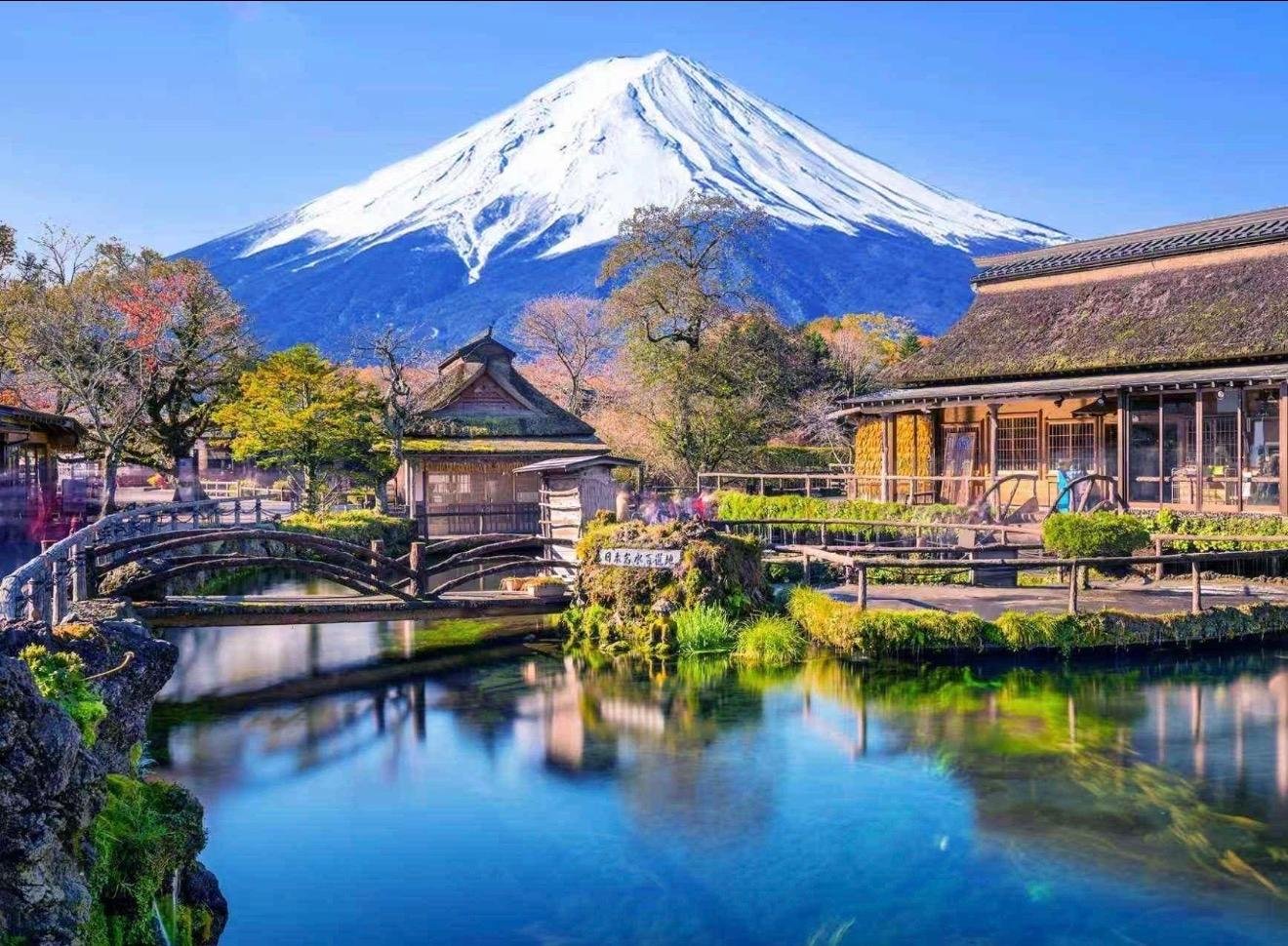 Customizable Mount Fuji Private Day Trip from Tokyo