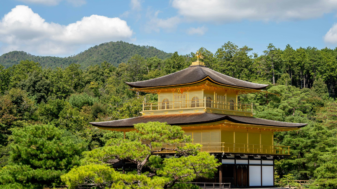 Kyoto Early Bird: Fushimi Inari, Nijo Castle & Kinkaku-ji