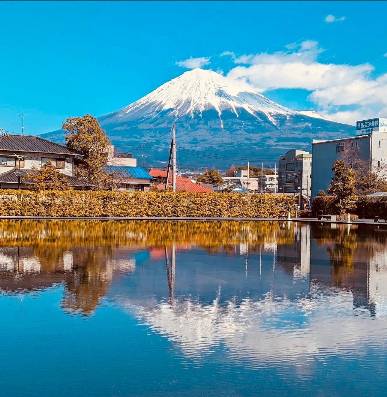 Tokyo to Mt. Fuji Private Luxury Day Tour with Hotel Pickup