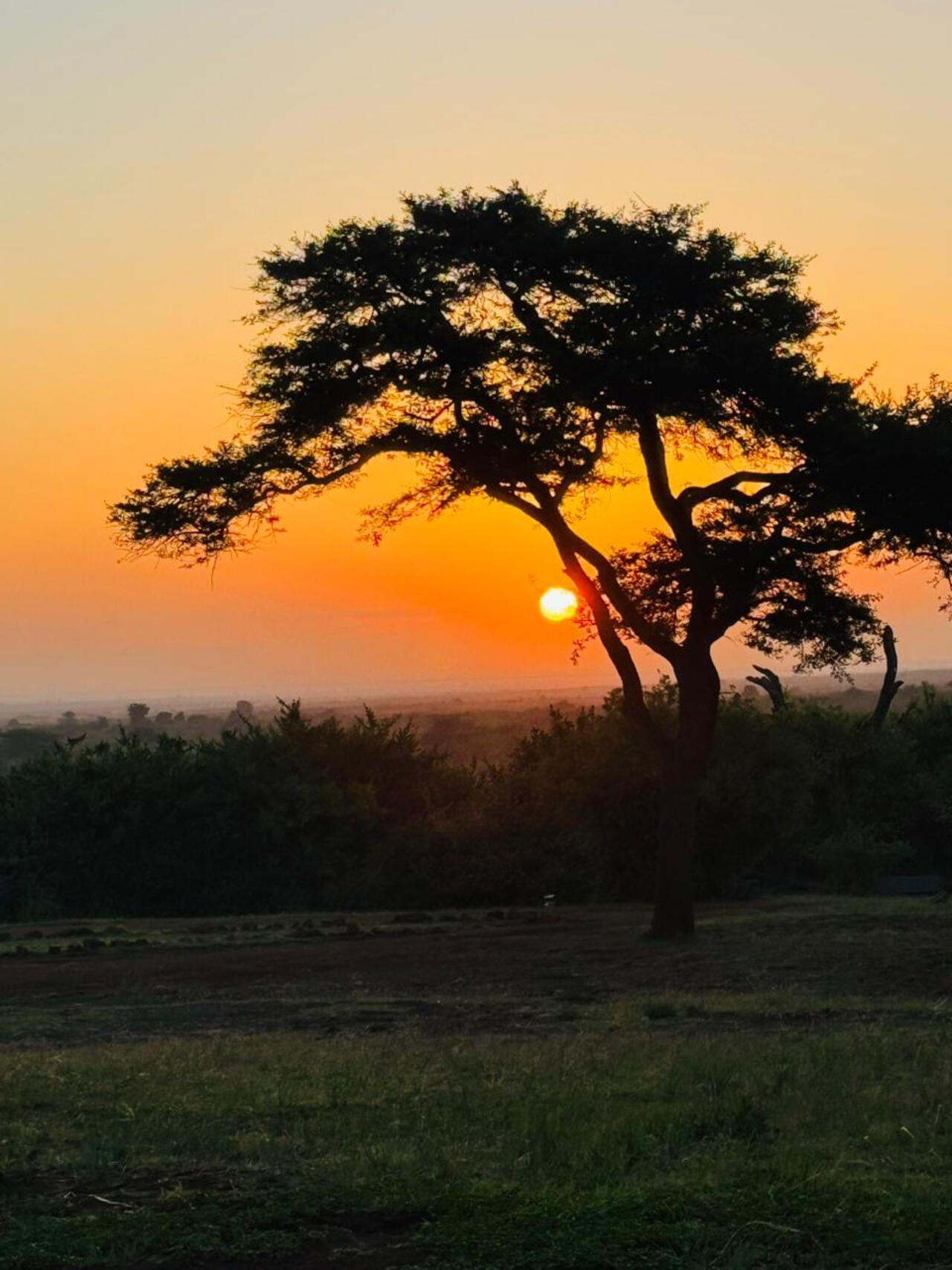 Nairobi National Park 5-Hour 4x4 Wildlife Safari