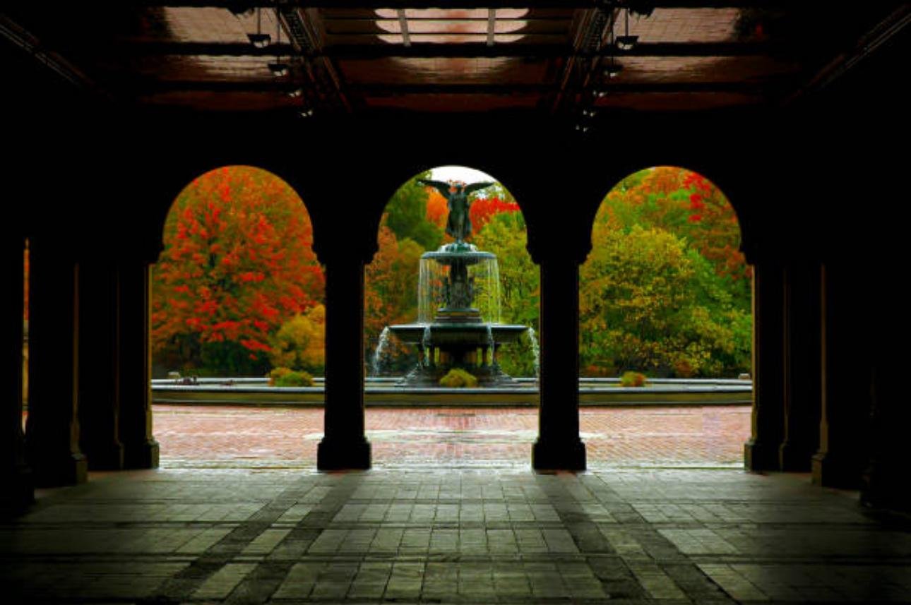 Private Central Park Horse Carriage Tour with Guide