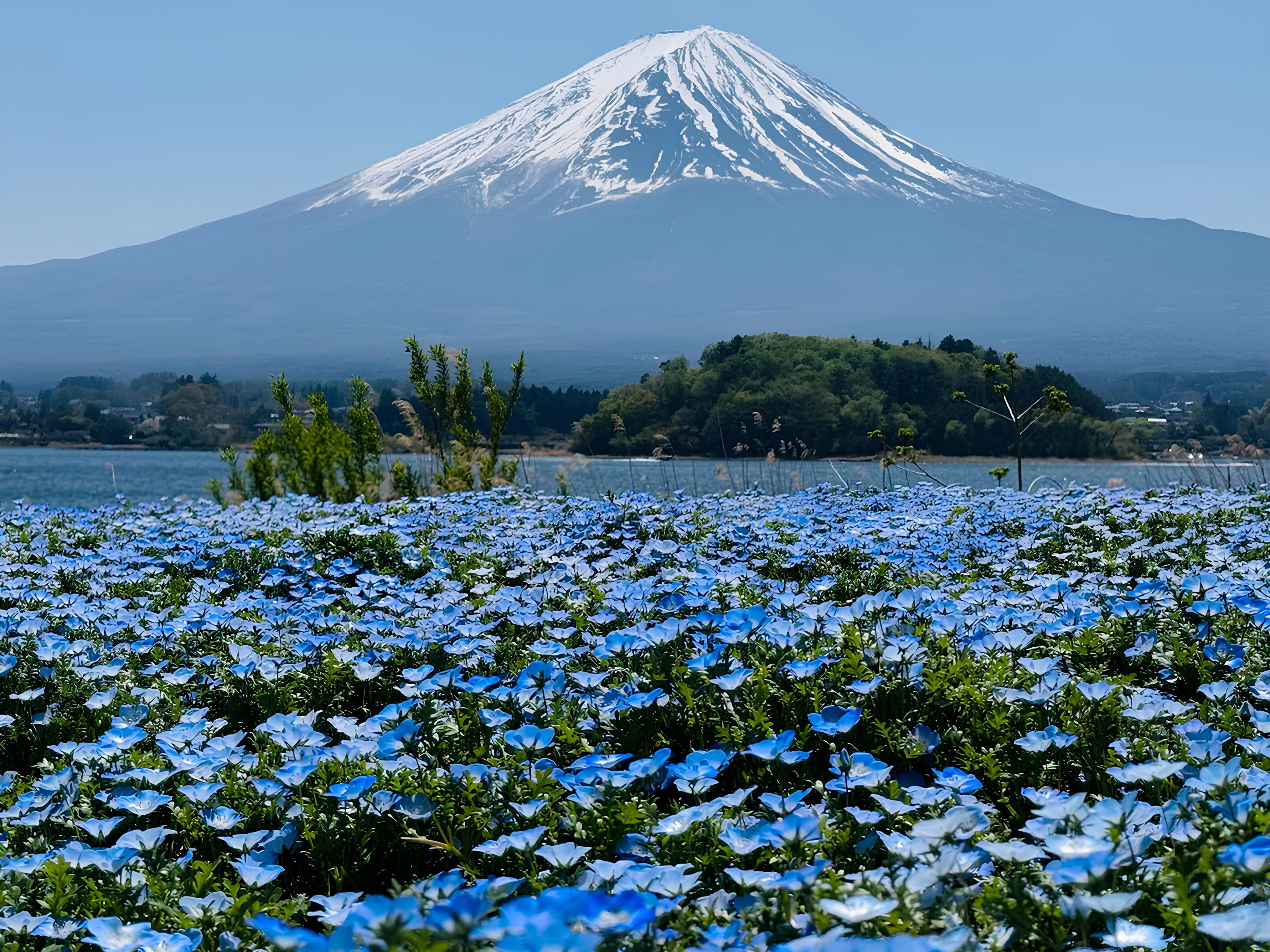 Tokyo to Mt. Fuji & Hakone: Private Full-Day Tour with English Driver