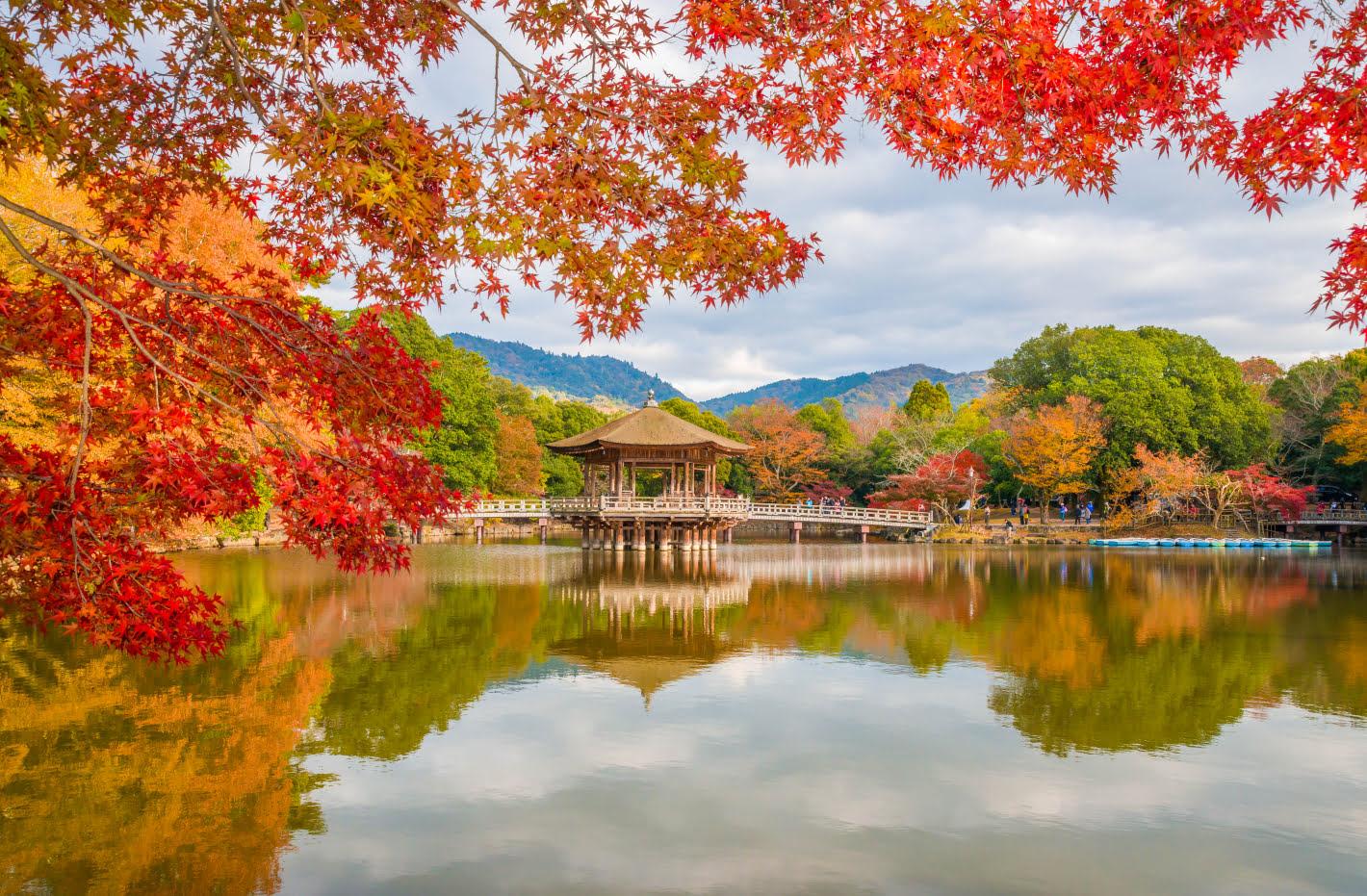Privat tilpasset rundtur i Kyoto med luksuskjøretøy og guide