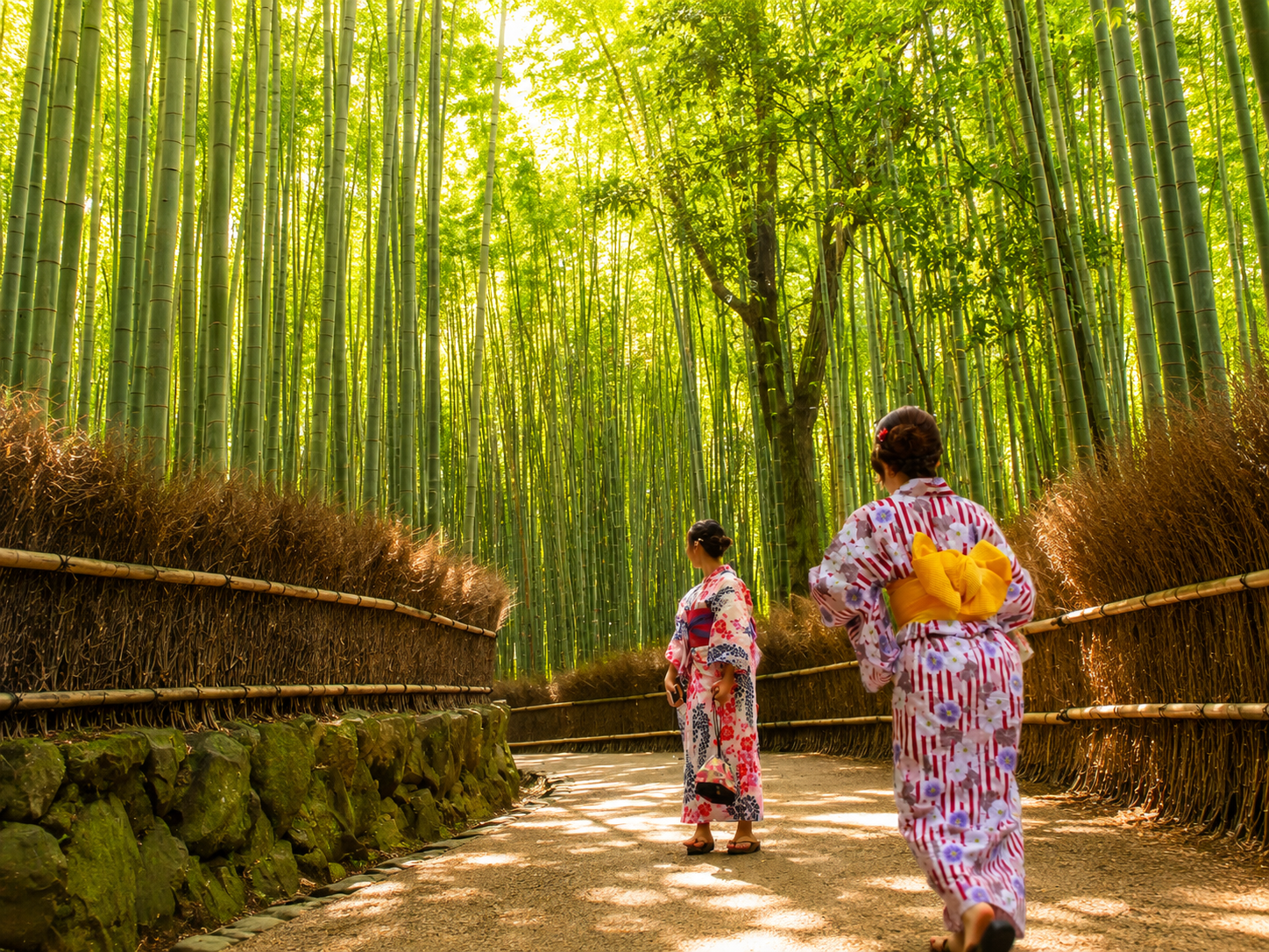 Kyoto & Nara Highlights Bus Tour from Osaka or Kyoto