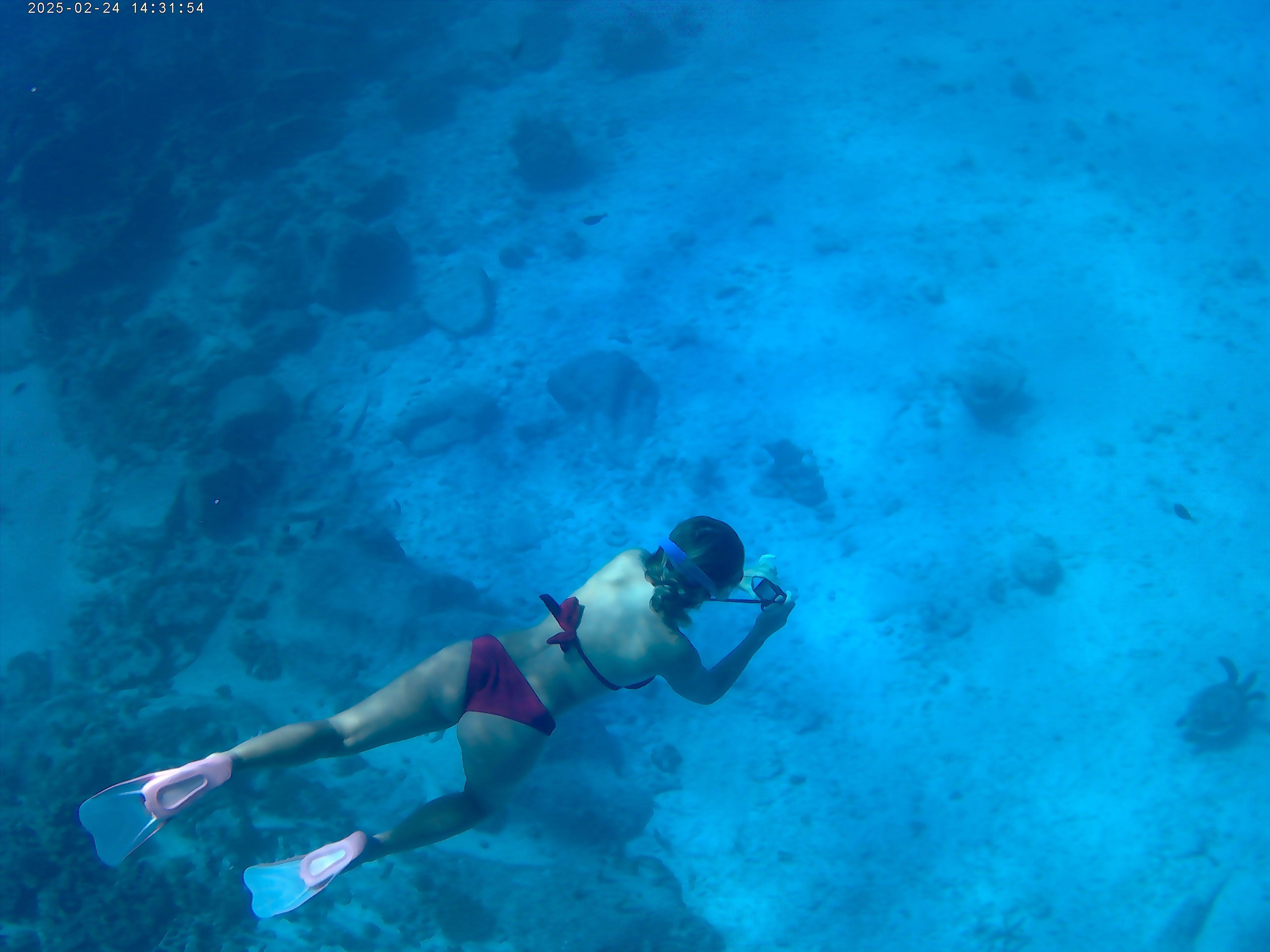 Curieuse & St. Pierre Islands Snorkeling Half-Day Trip