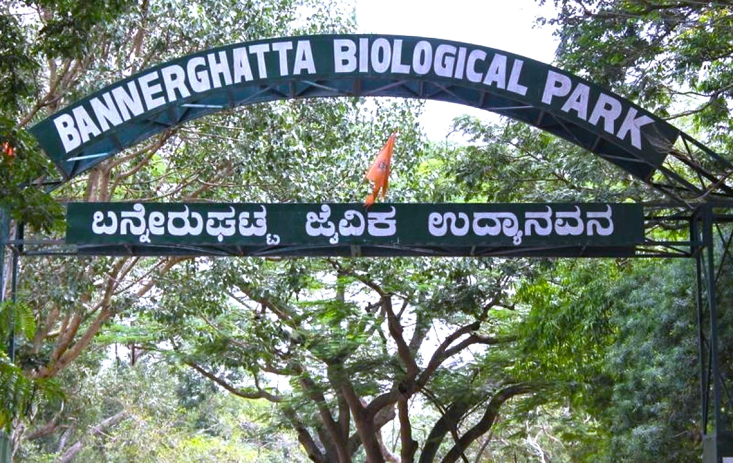 Bannerghatta Wildlife & Bangalore Heritage Private Tour