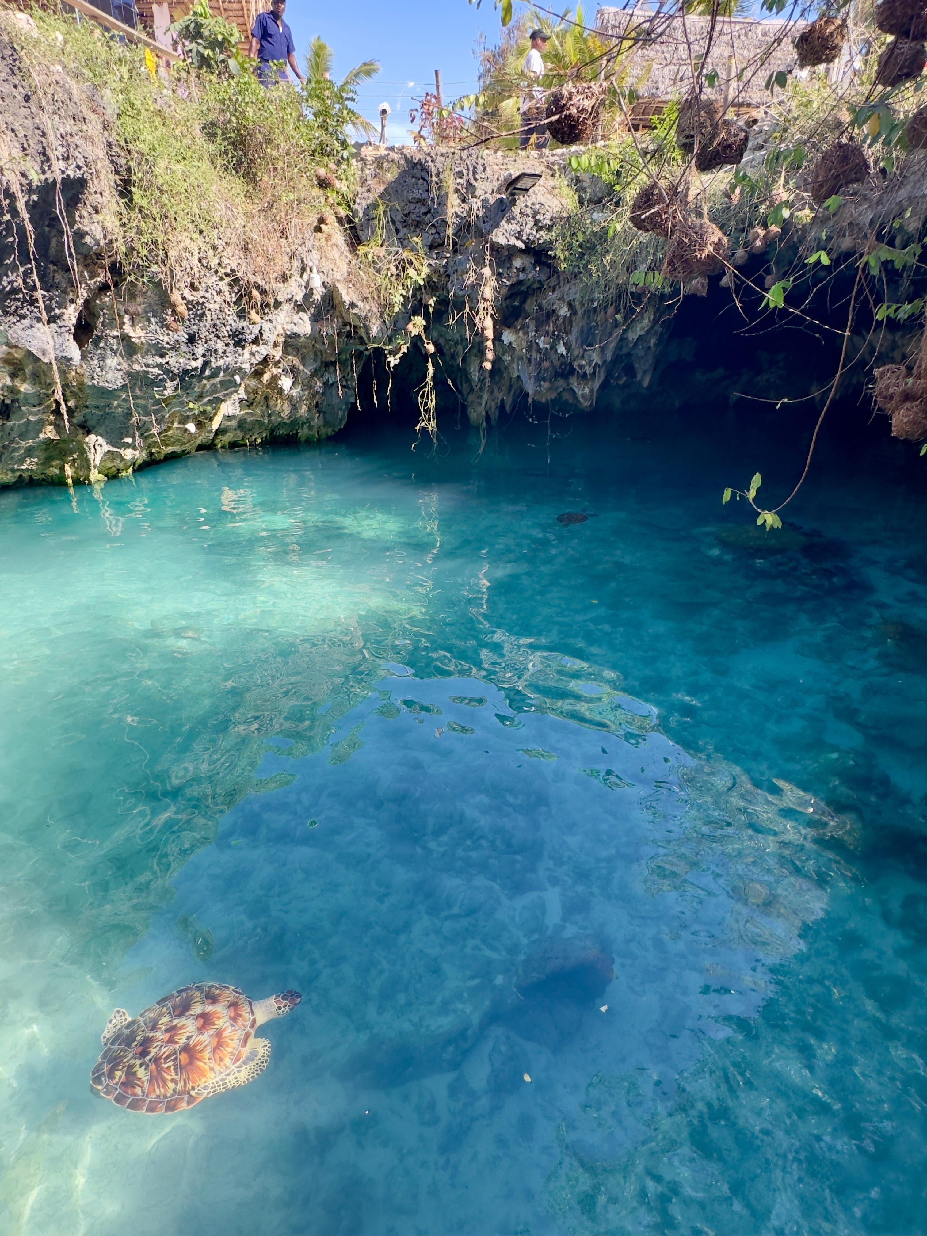 Zanzibar: Swim with Sea Turtles at Salaam Cave, Kizimkazi
