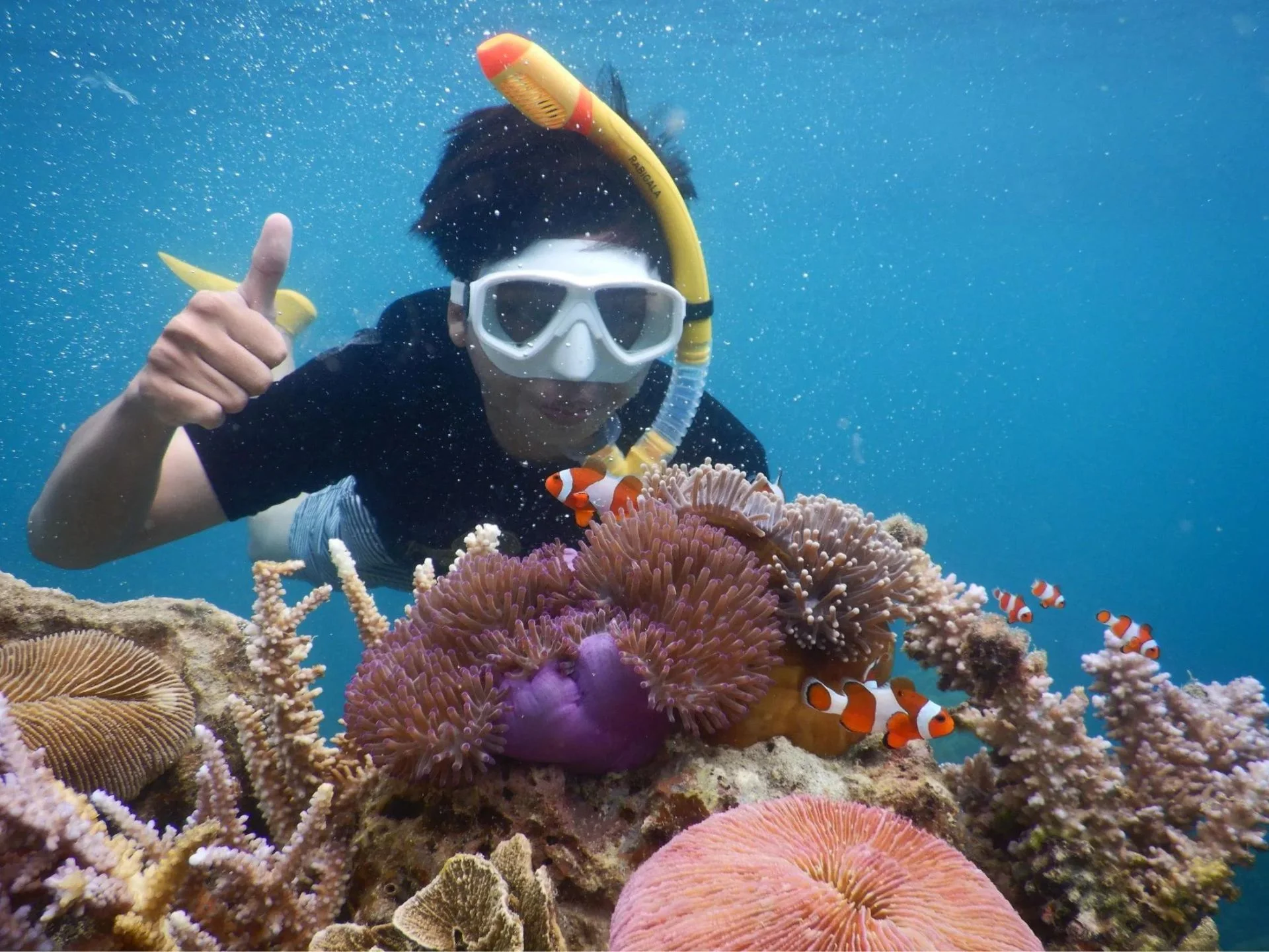 Karimunjawa Private Snorkelling & Island Hopping Adventure
