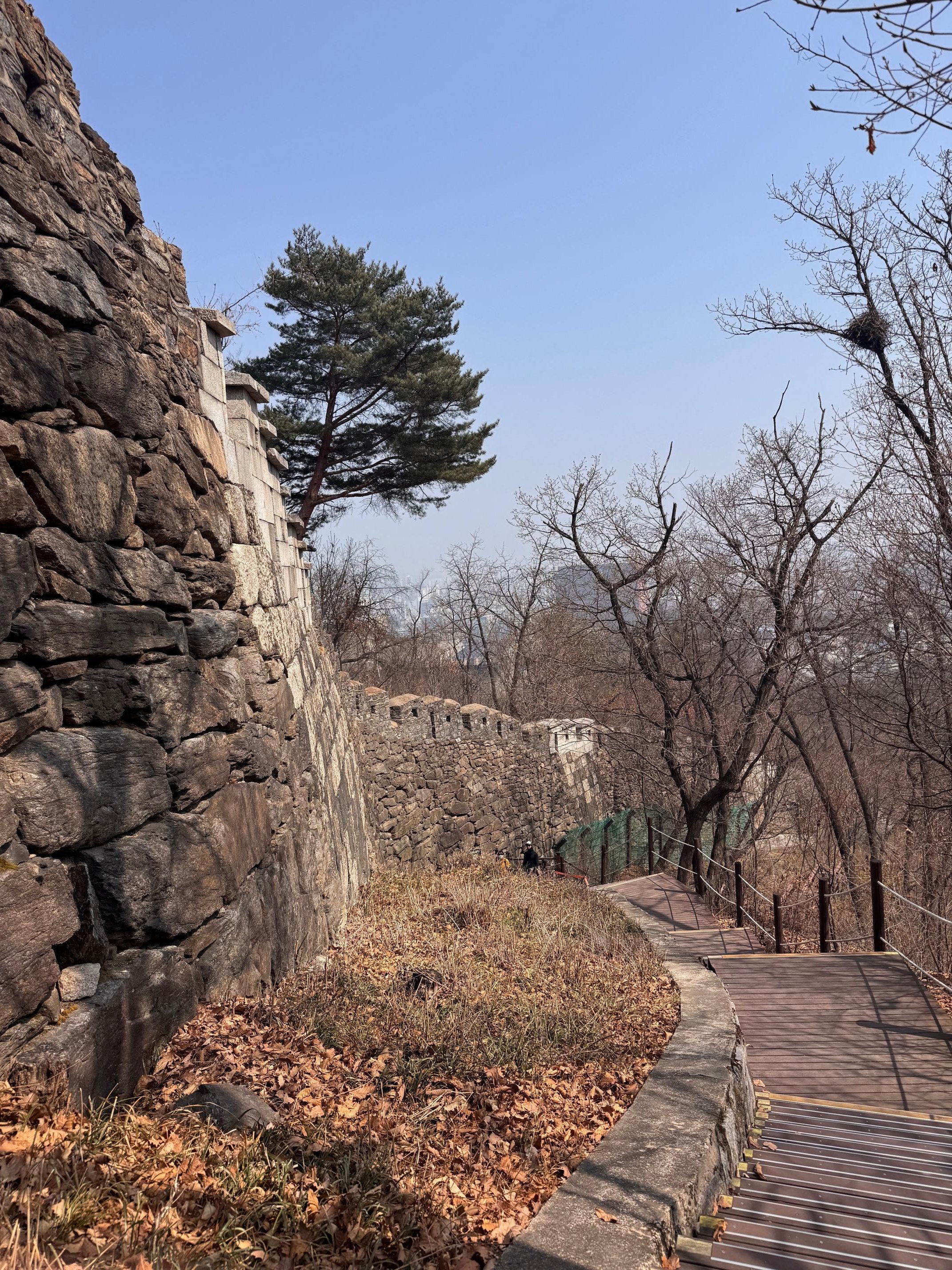 Namsan Mountain City Wall Hike & Namdaemun Noodle Lunch