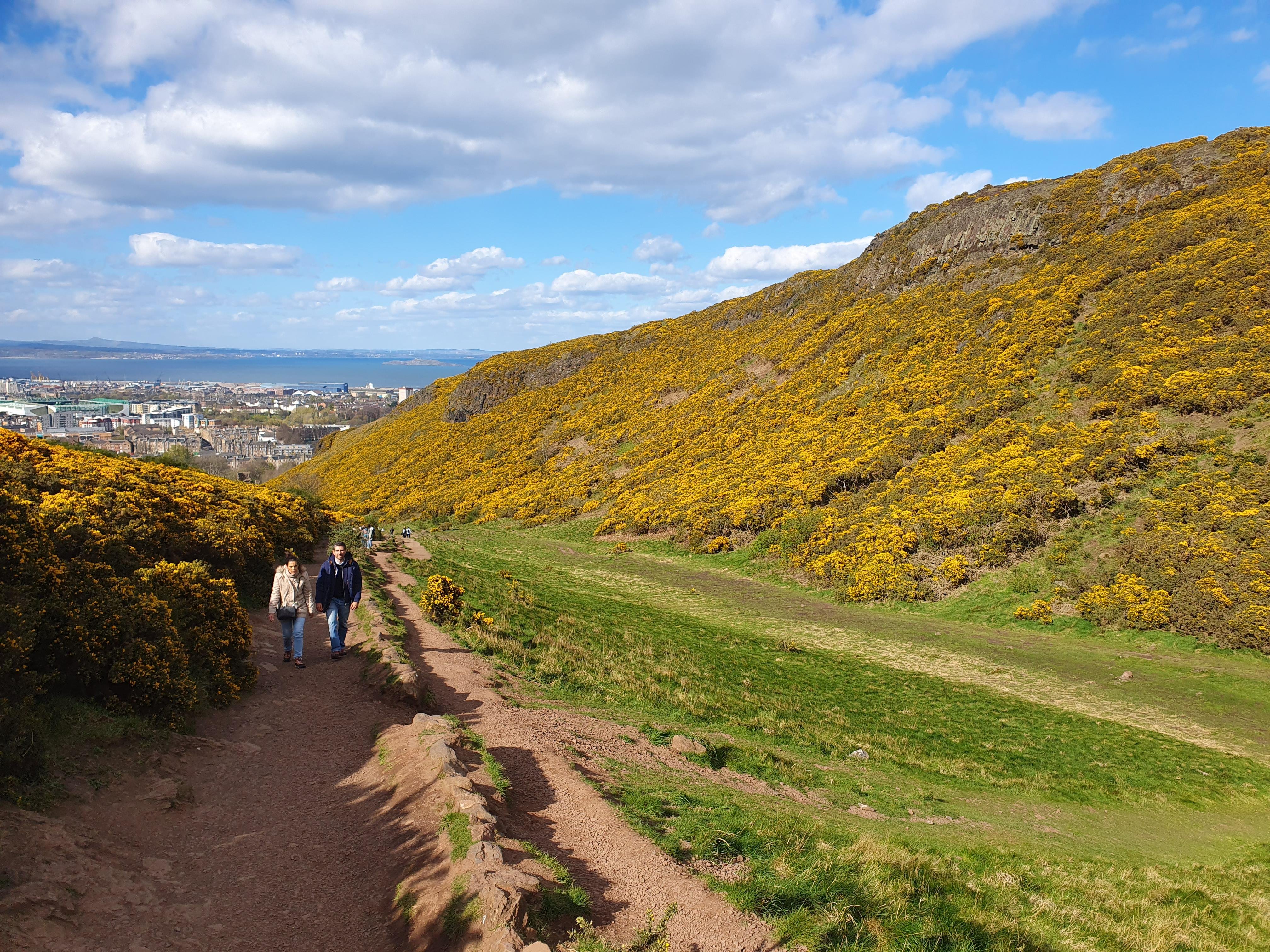 Guided Hike to Arthur's Seat & Holyrood Park