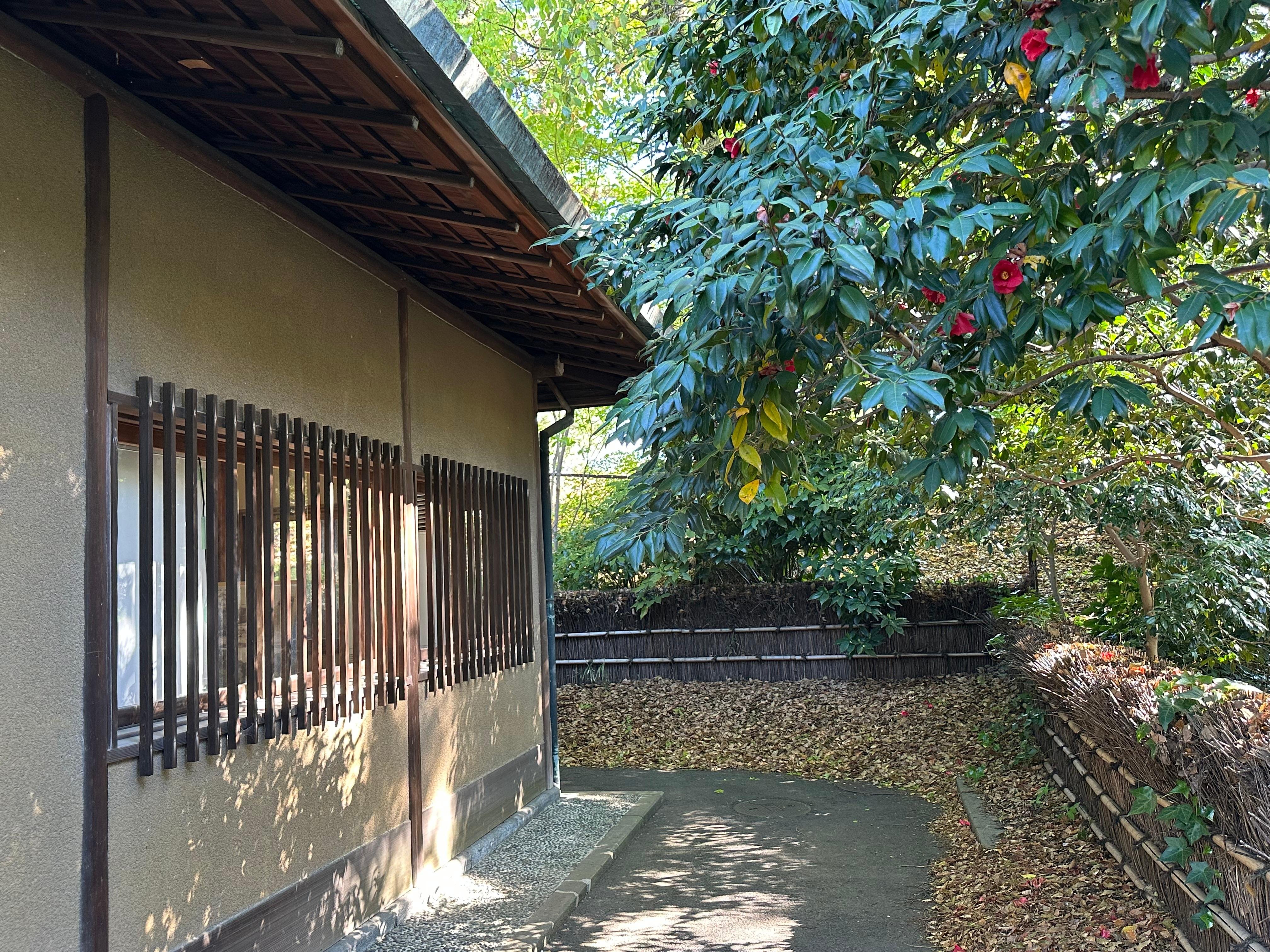 Tokyo Imperial Palace & Shogun History Walking Tour