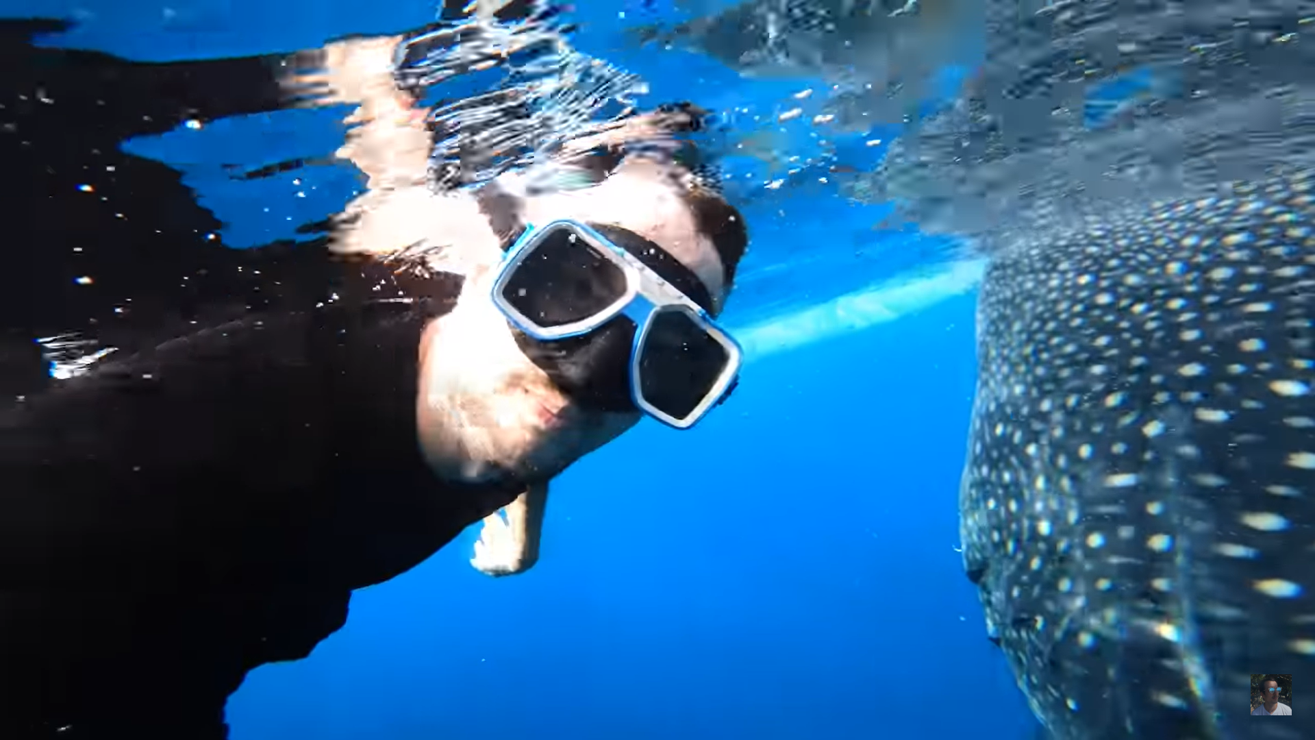 Oslob Triple Adventure: Whale Sharks, Tumalog Falls & Sumilon Island