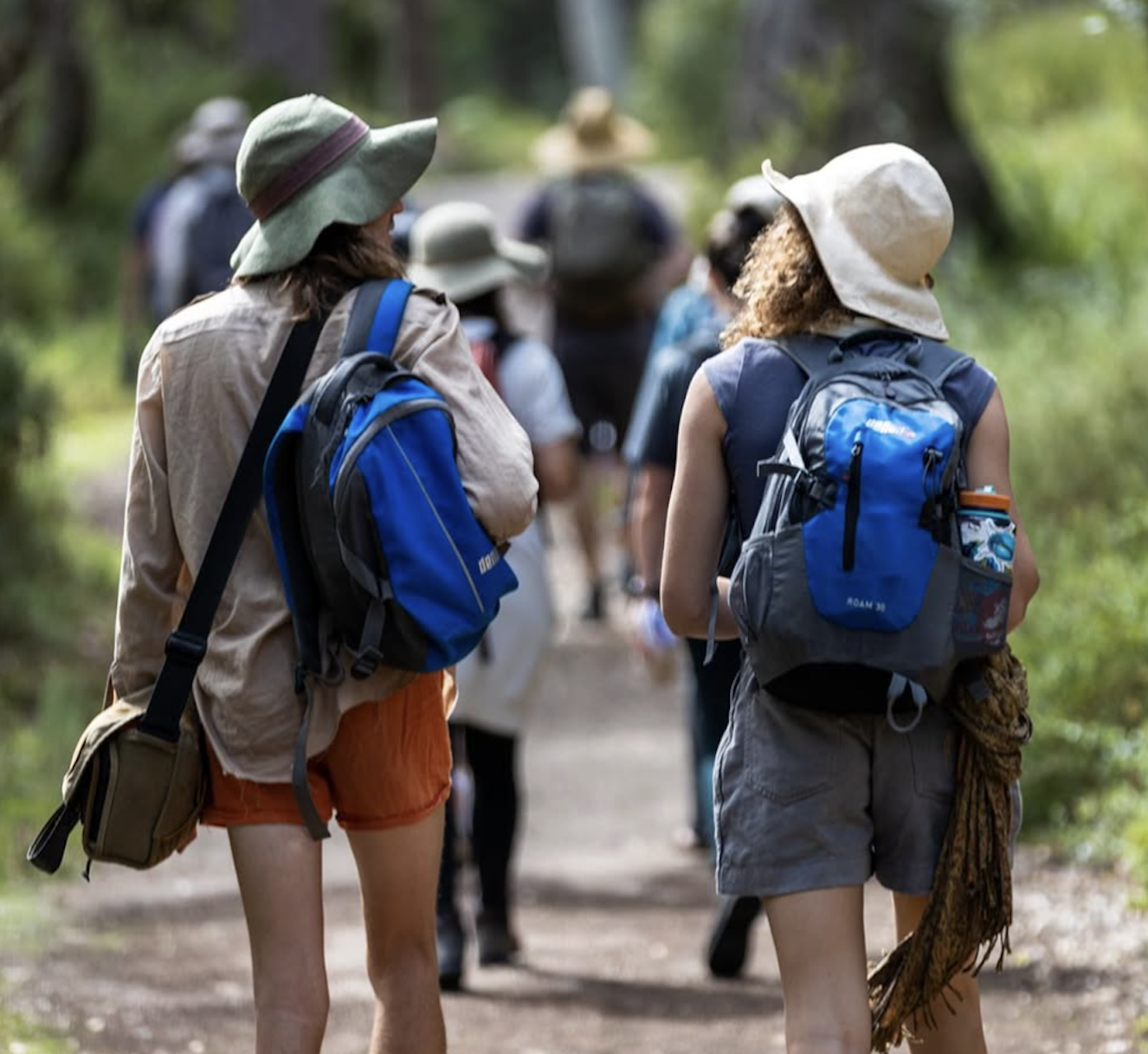 Yarra River: 2 Hour Canoe Guided Nature Tour