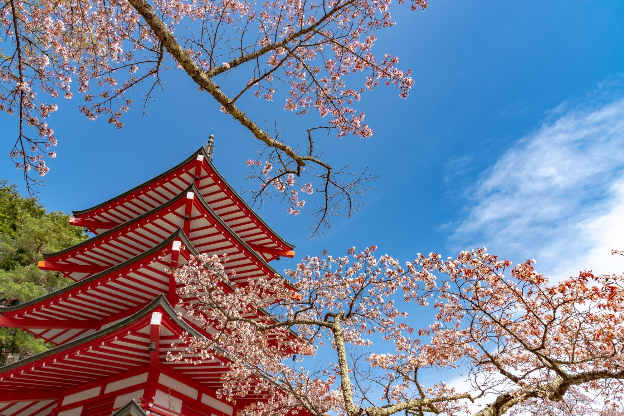 Mt. Fuji, Hakone & Arakura Pagoda Full-Day Tour from Tokyo
