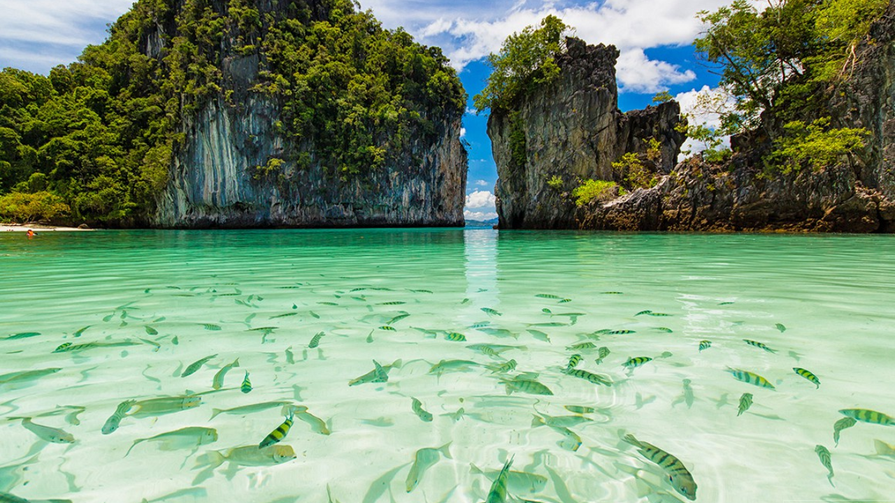 James Bond Island & Phang Nga Bay Full-Day Tour from Phuket