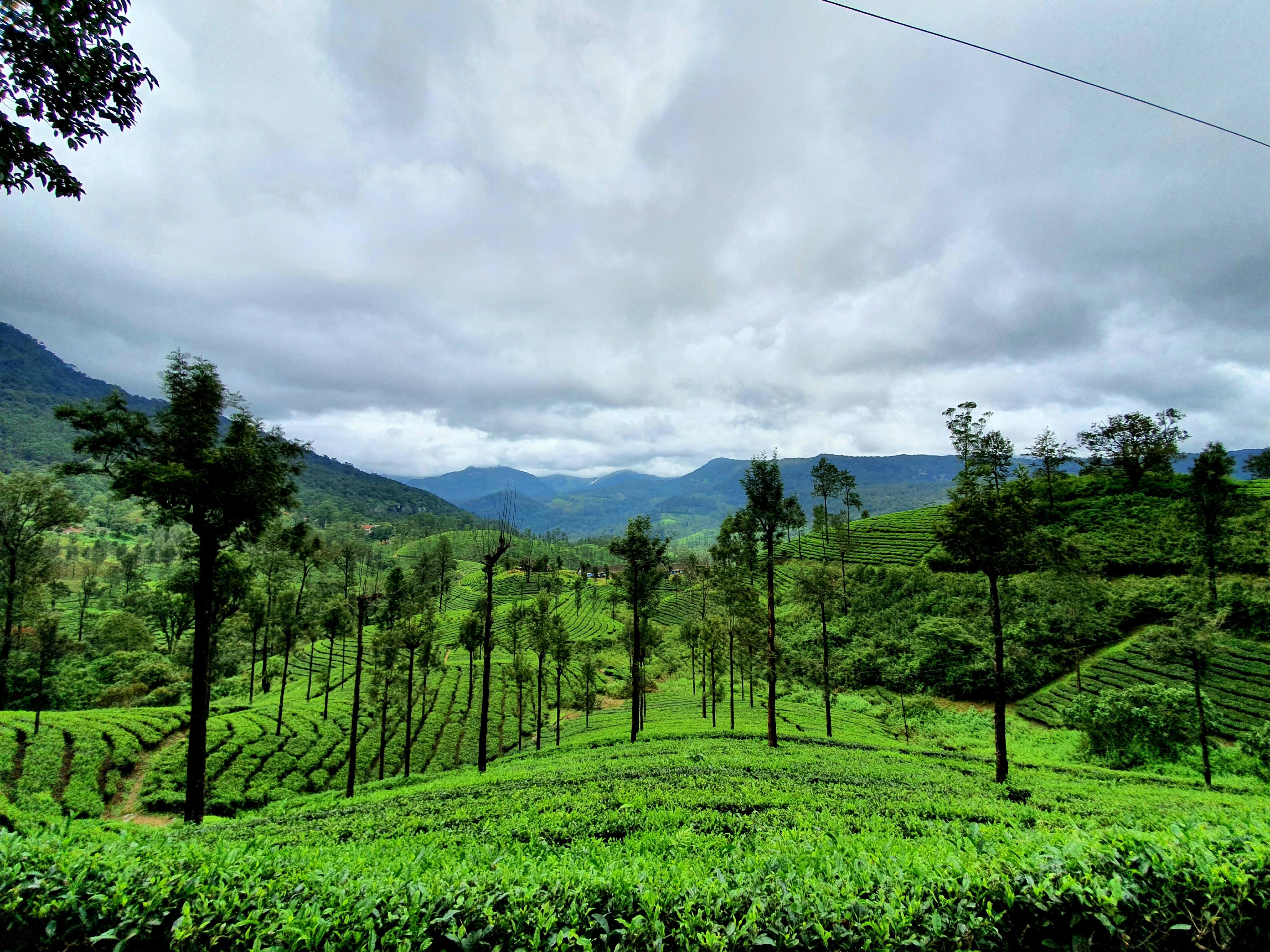 7-Day Private Sri Lanka Highlights Chauffeur Tour